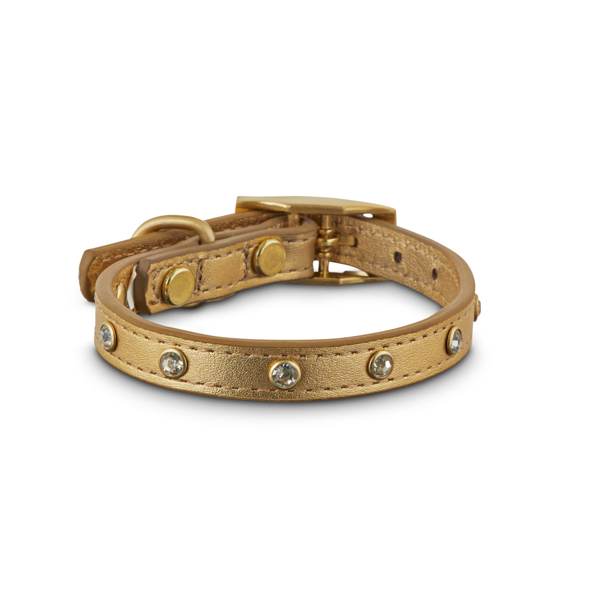 petco leather dog collar