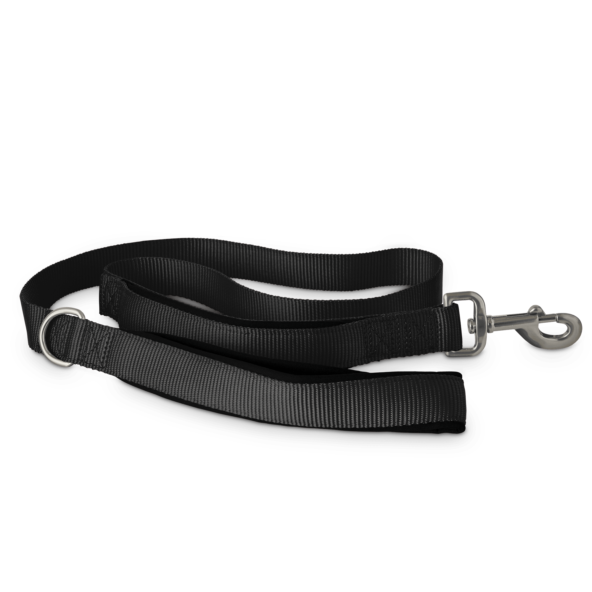 black dog leash