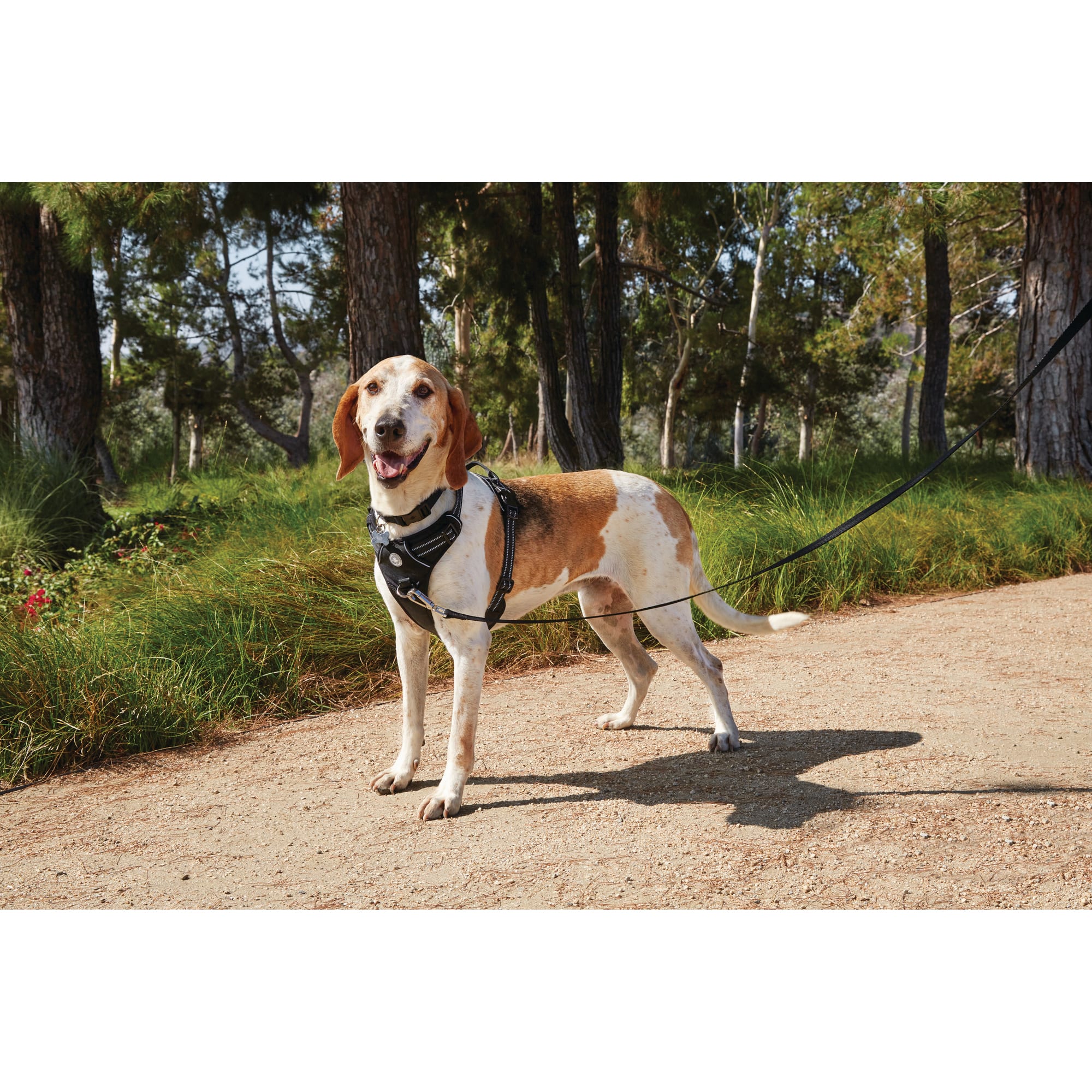 Good2go front walking outlet dog harness