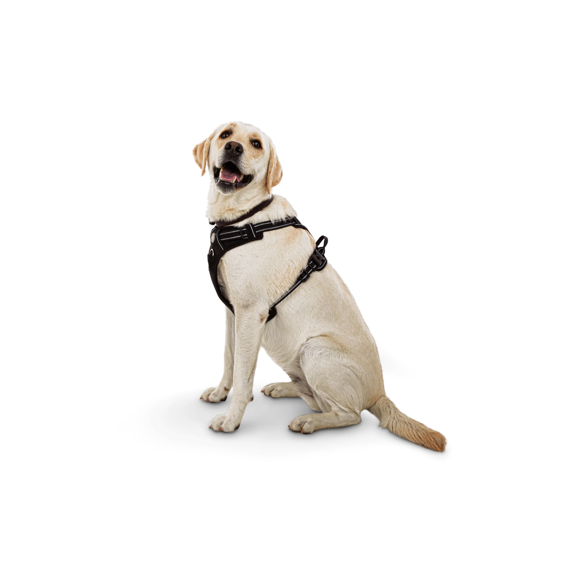 Good2go front 2025 walking harness reviews