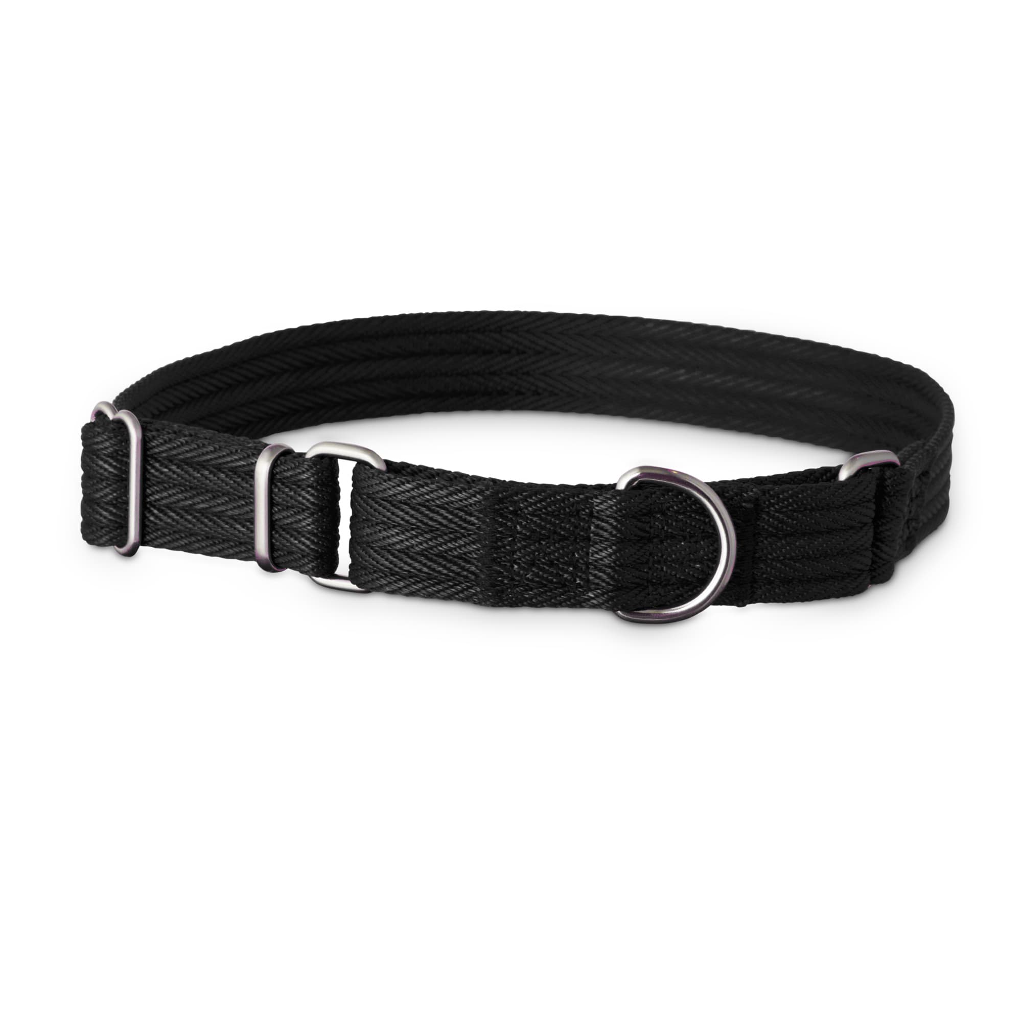 Slip 2024 collar petco