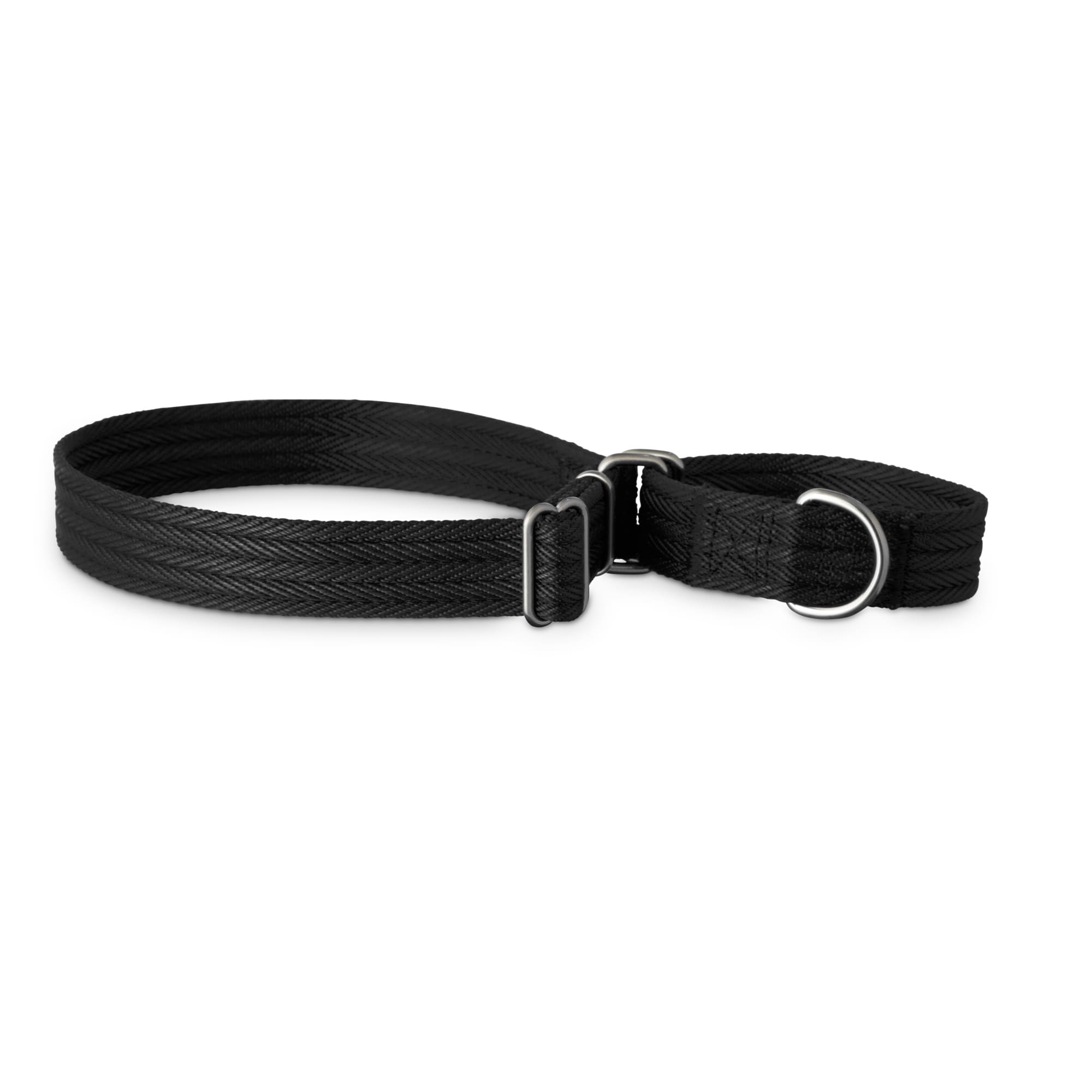 Choosing a Dog Collar or Dog Harness - Tipp Veterinarian Hospital