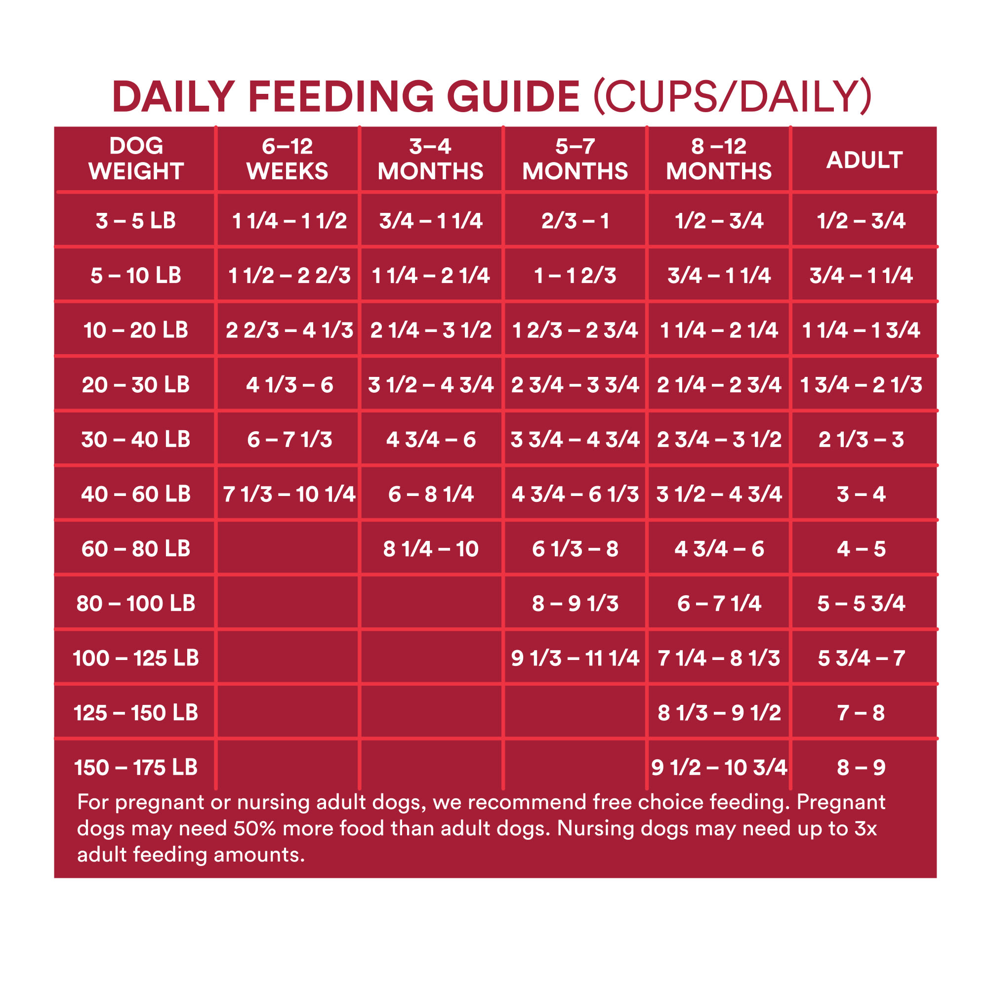 dog puppy diet chart