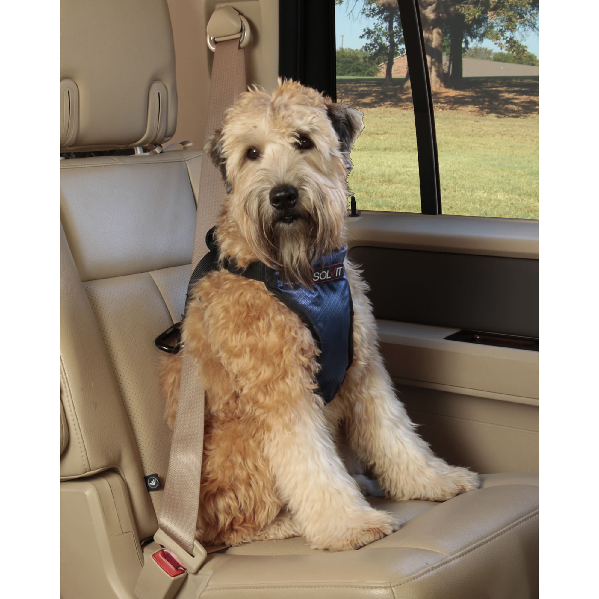 dog seat belt harness petco