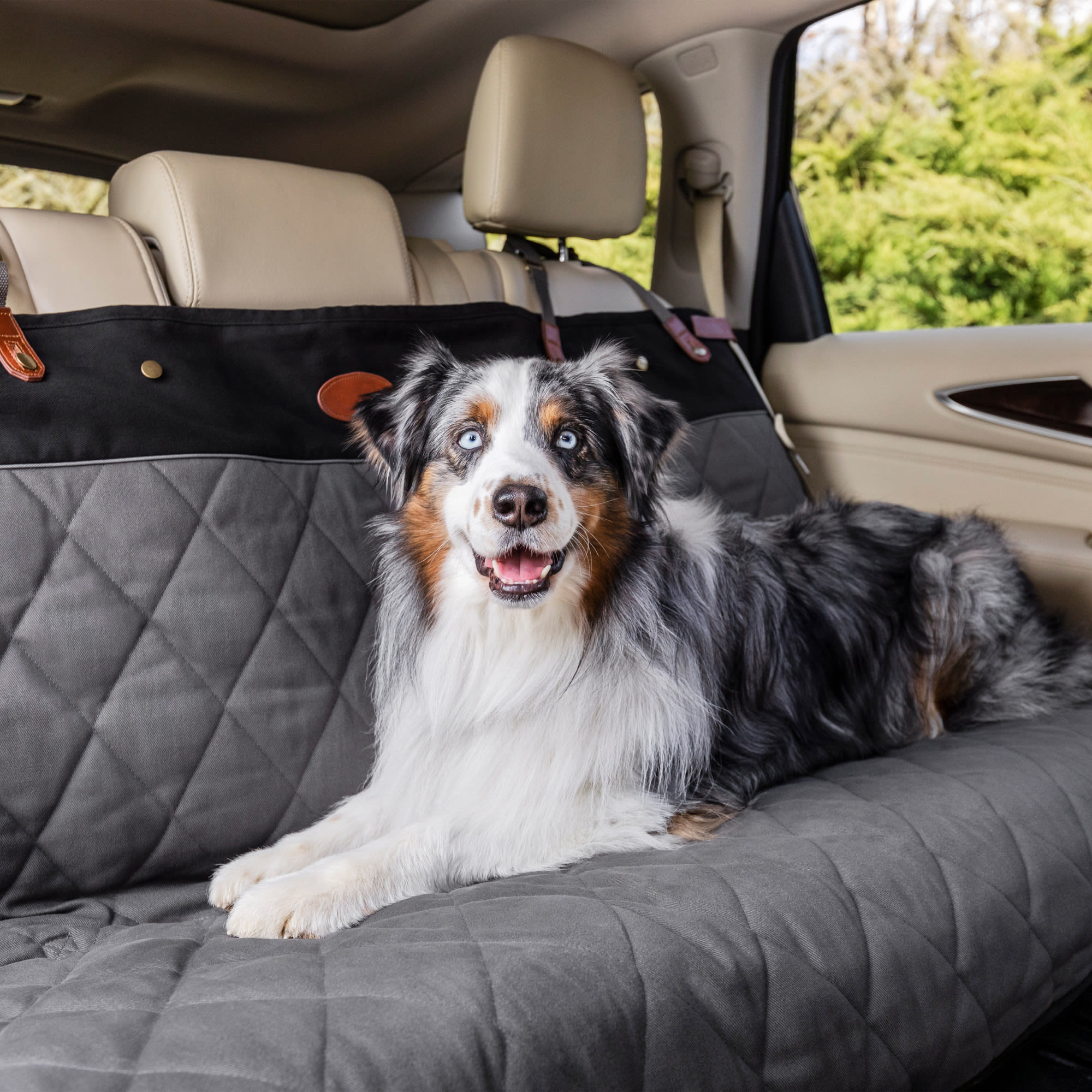 Jeep cherokee outlet dog seat covers