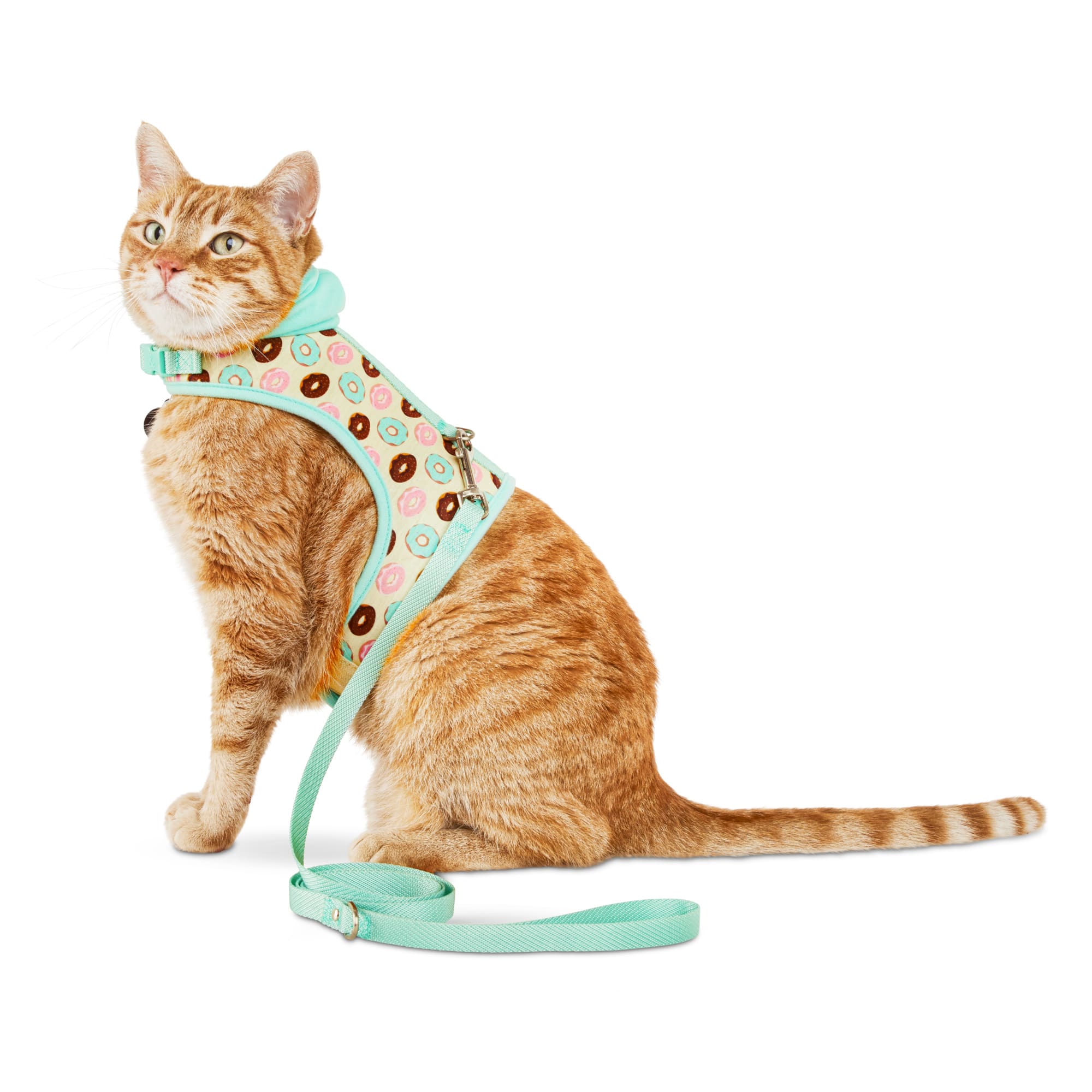 cat harness and leash