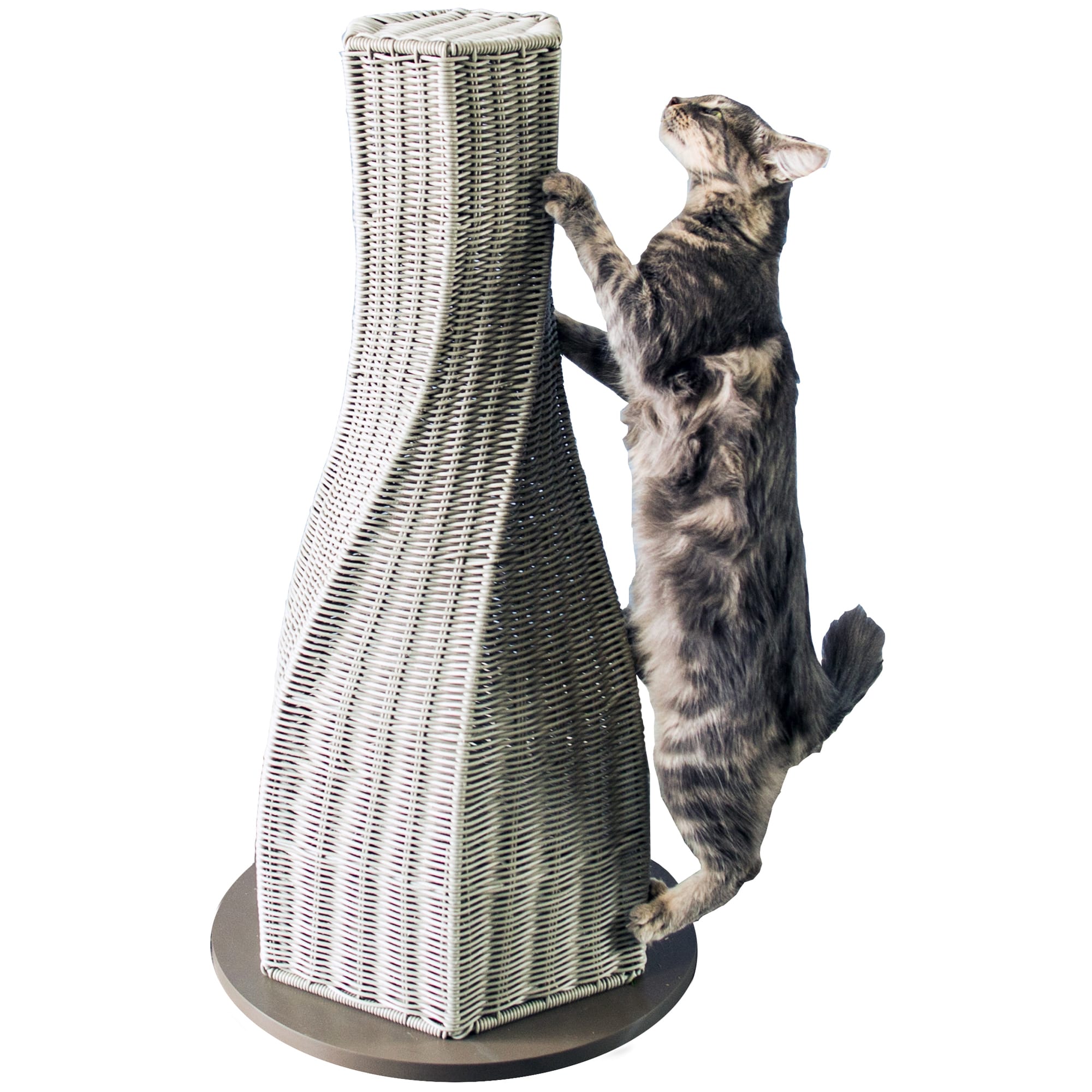 petco cat scratcher