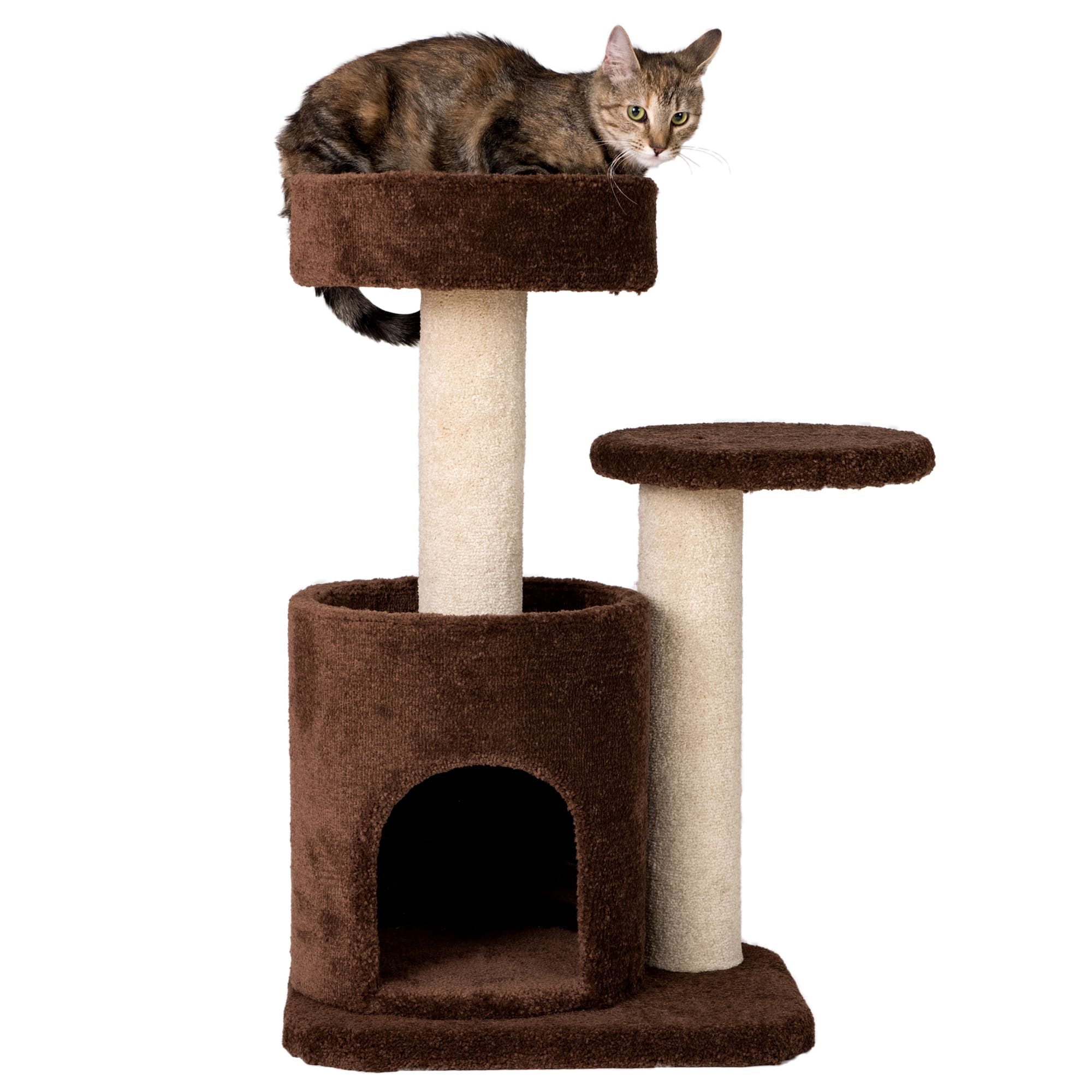 Inexpensive 2025 cat trees