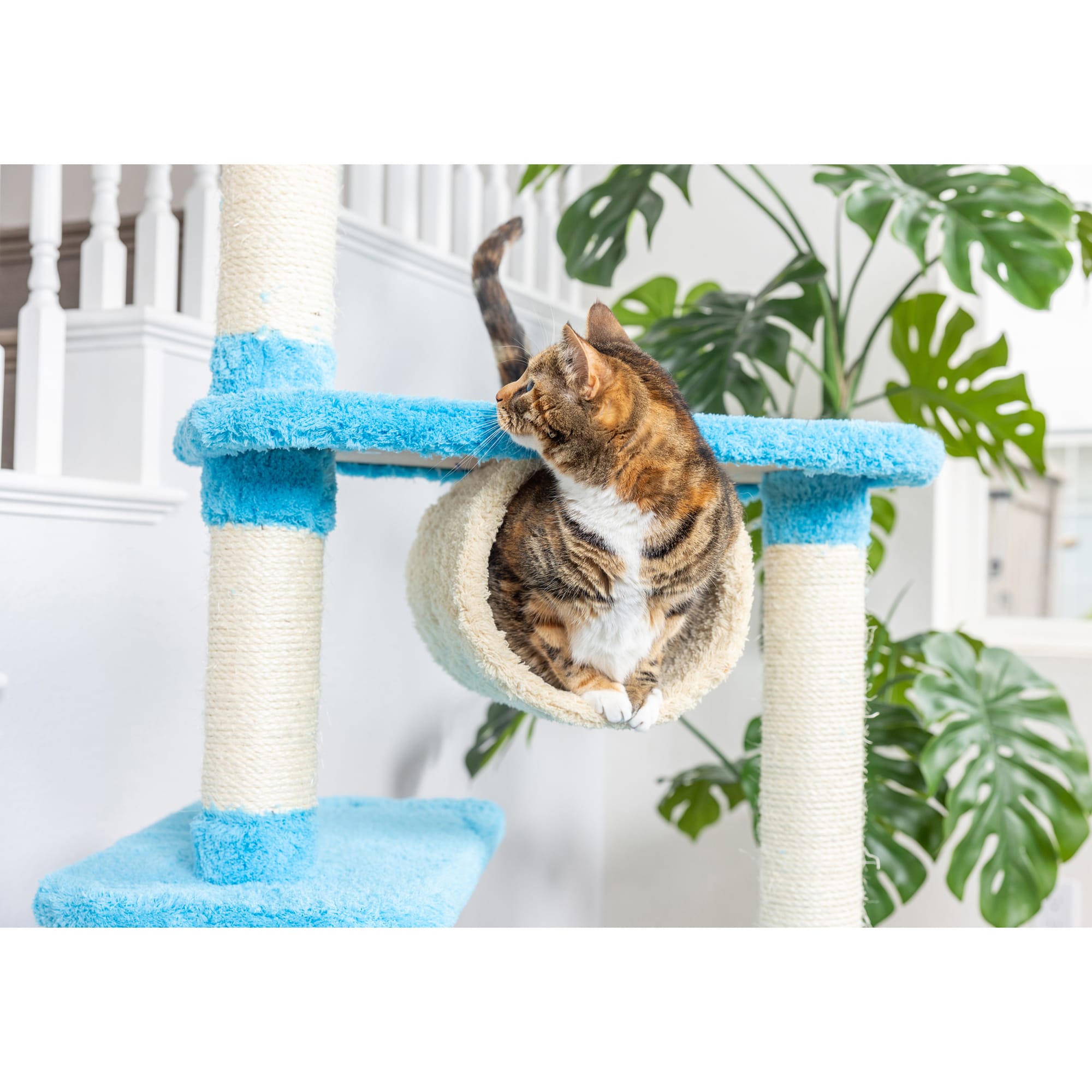 Blue 2025 cat tower