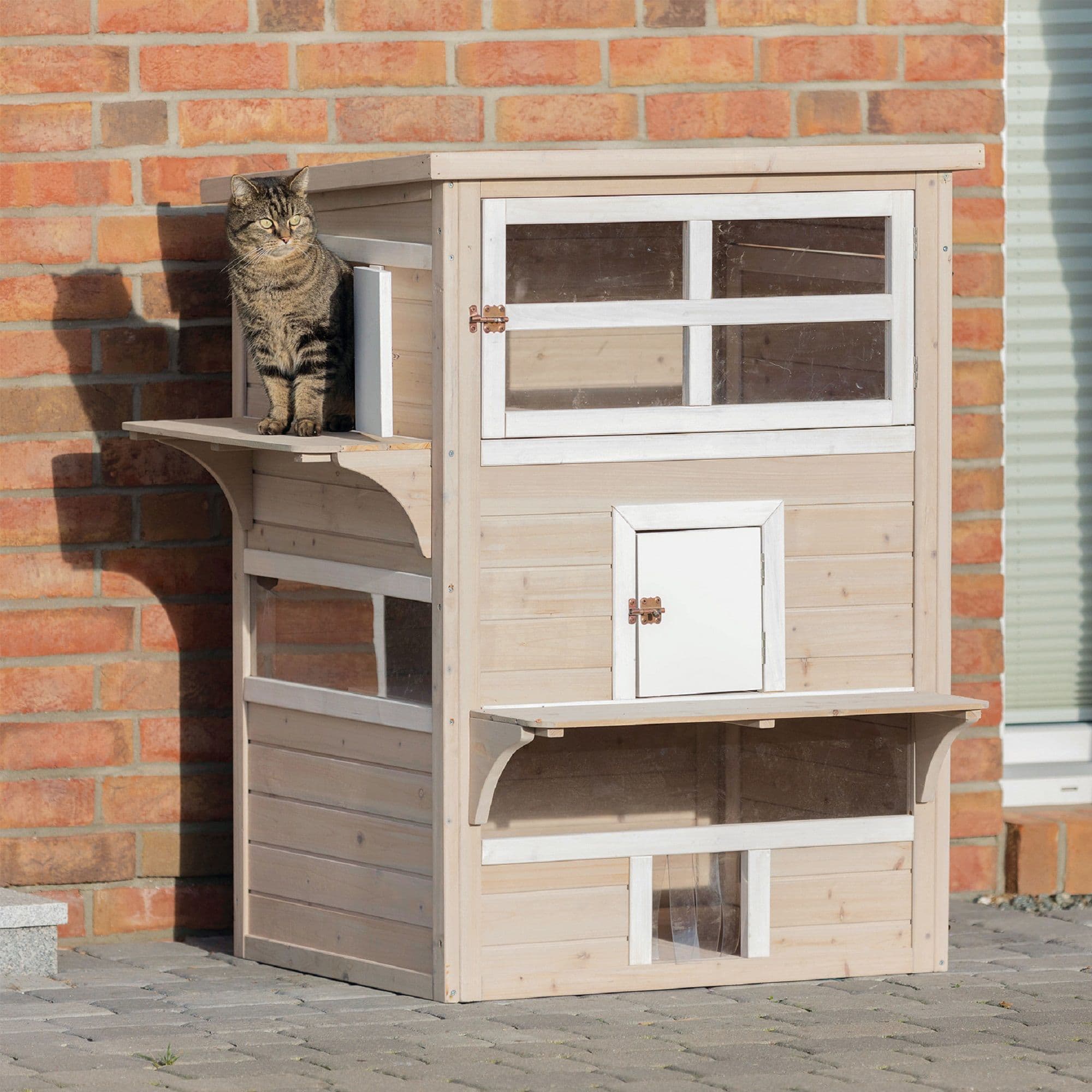 cat home