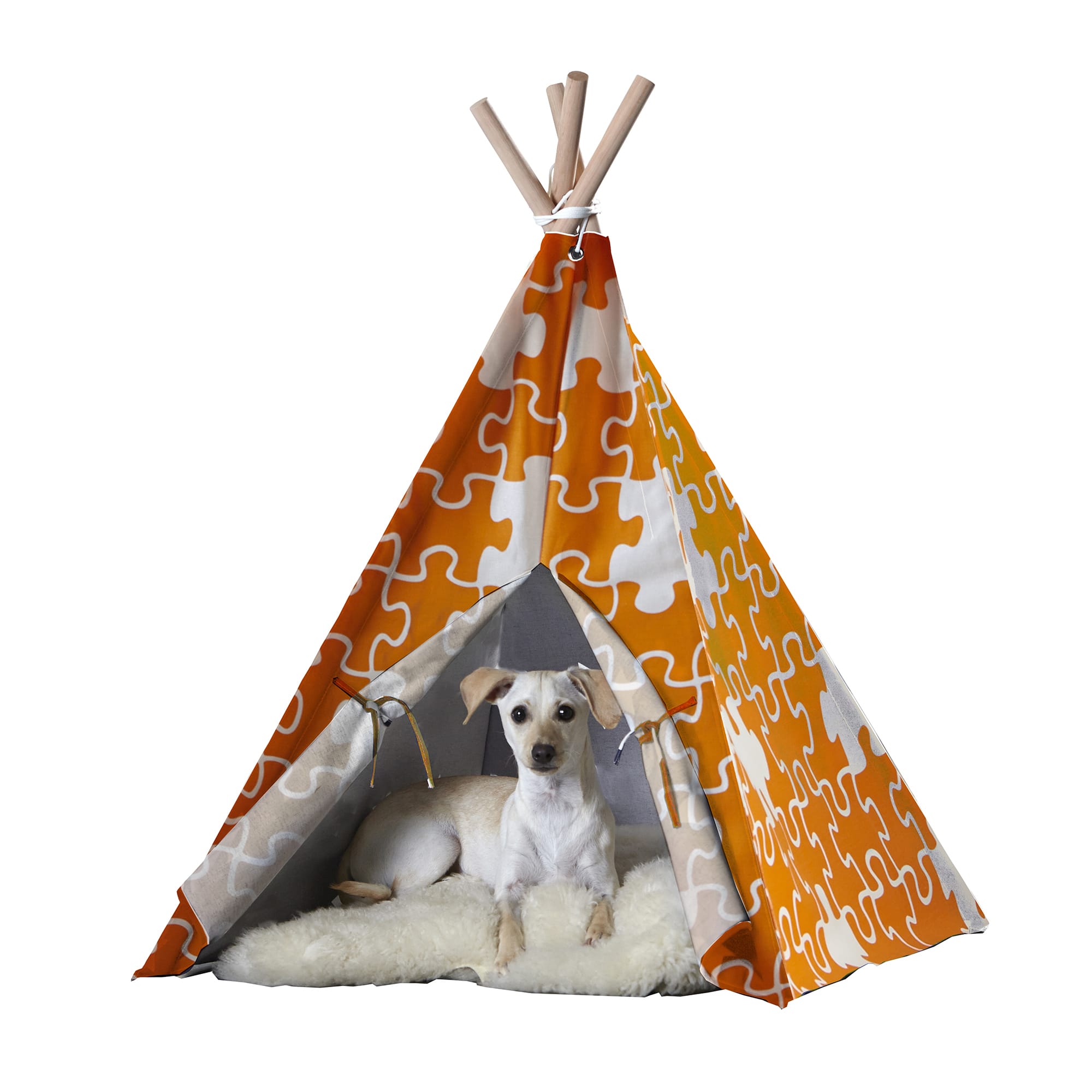 Dog 2025 teepee petco