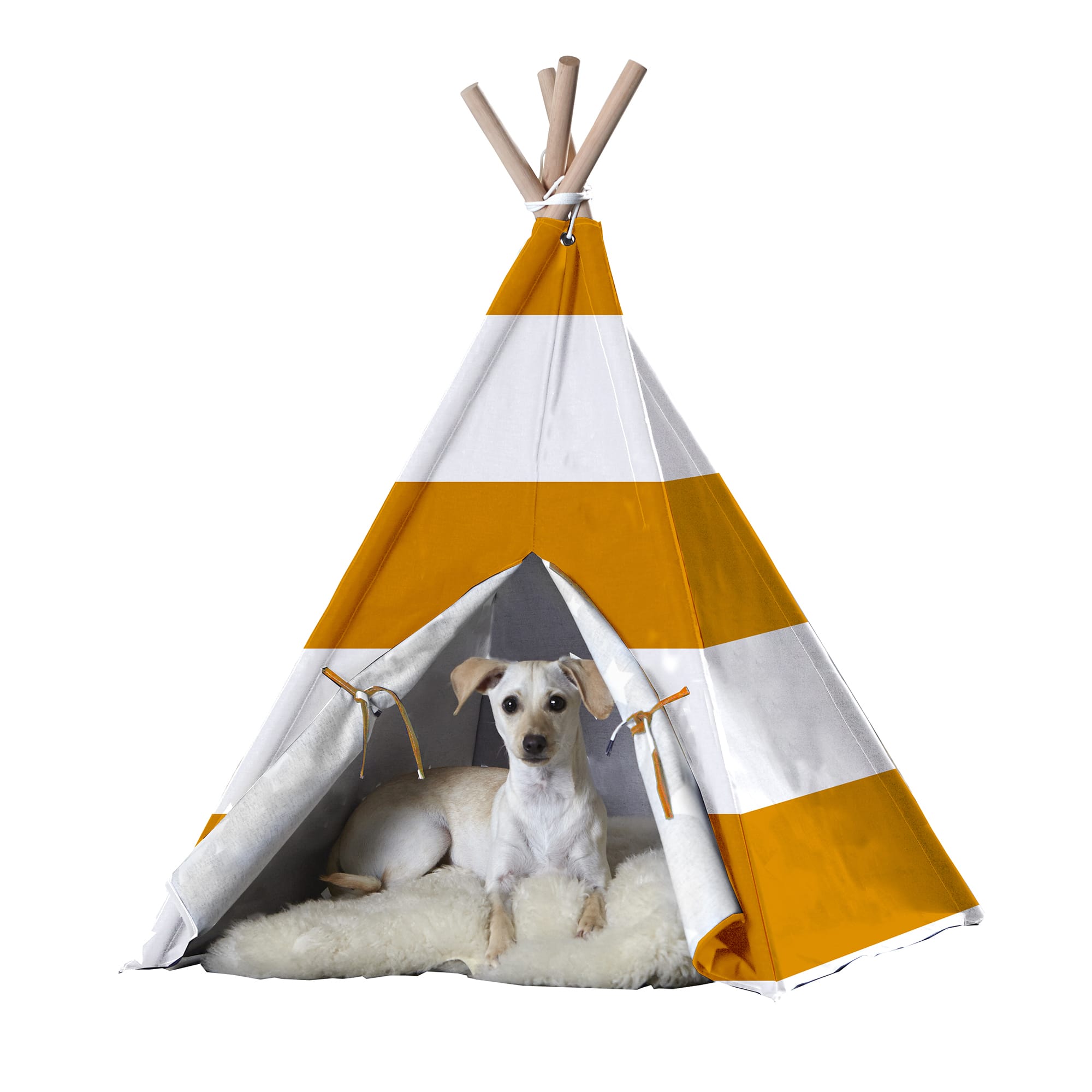 Dog tent clearance teepee