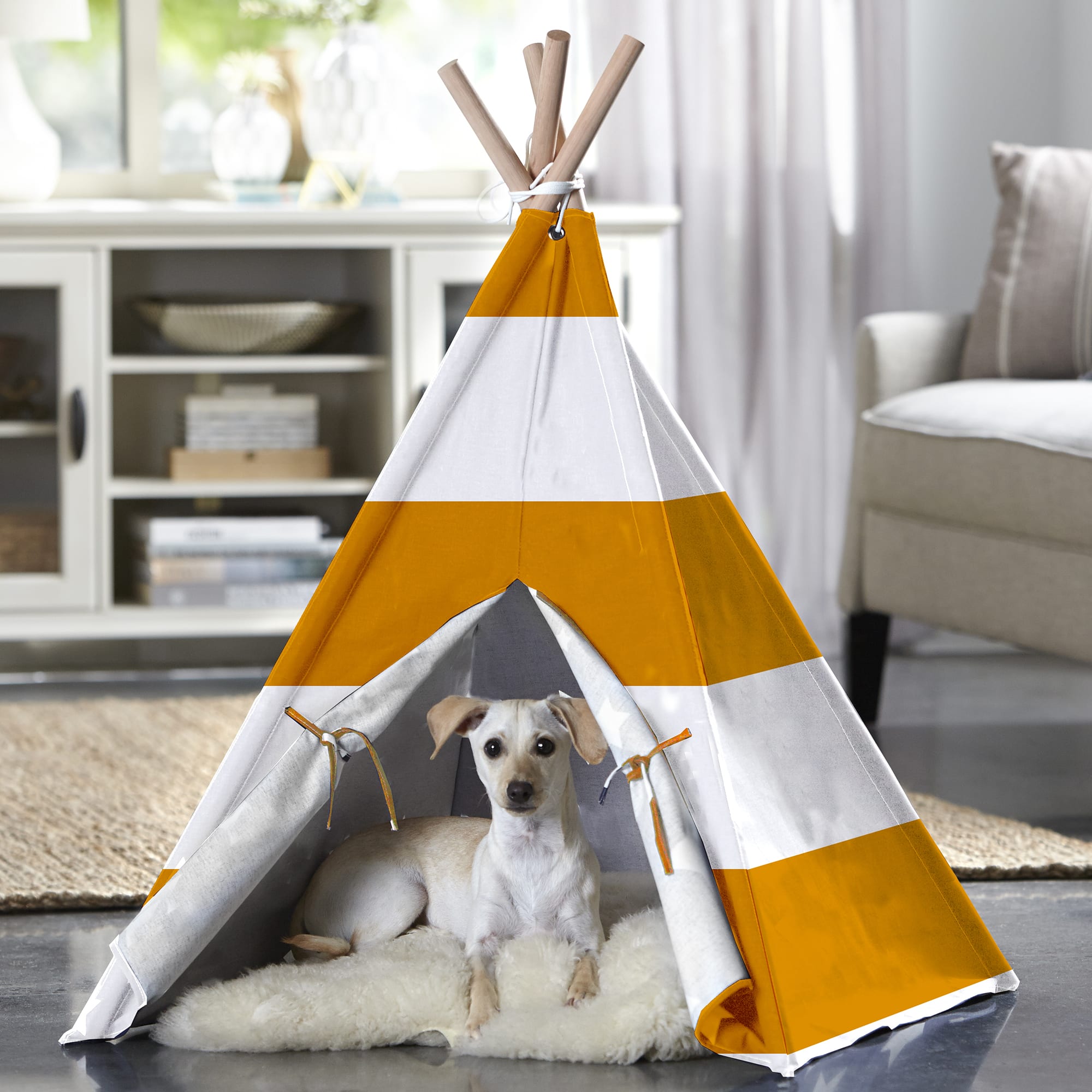 Petco 2025 dog teepee