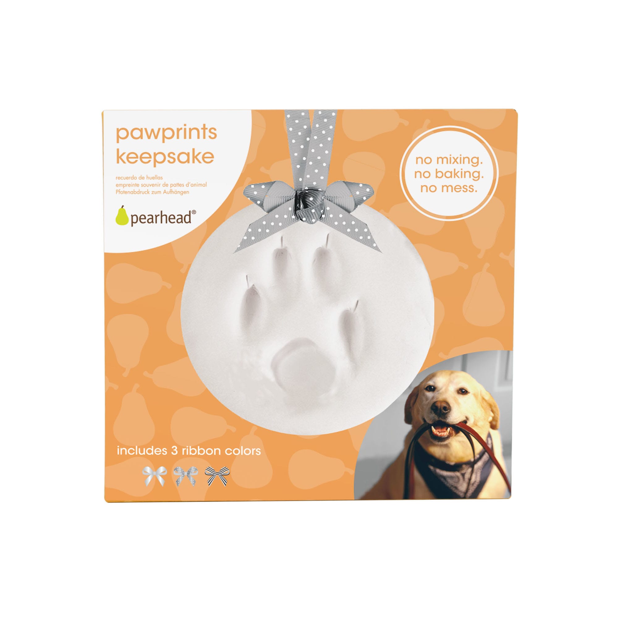 Dog paw print kit