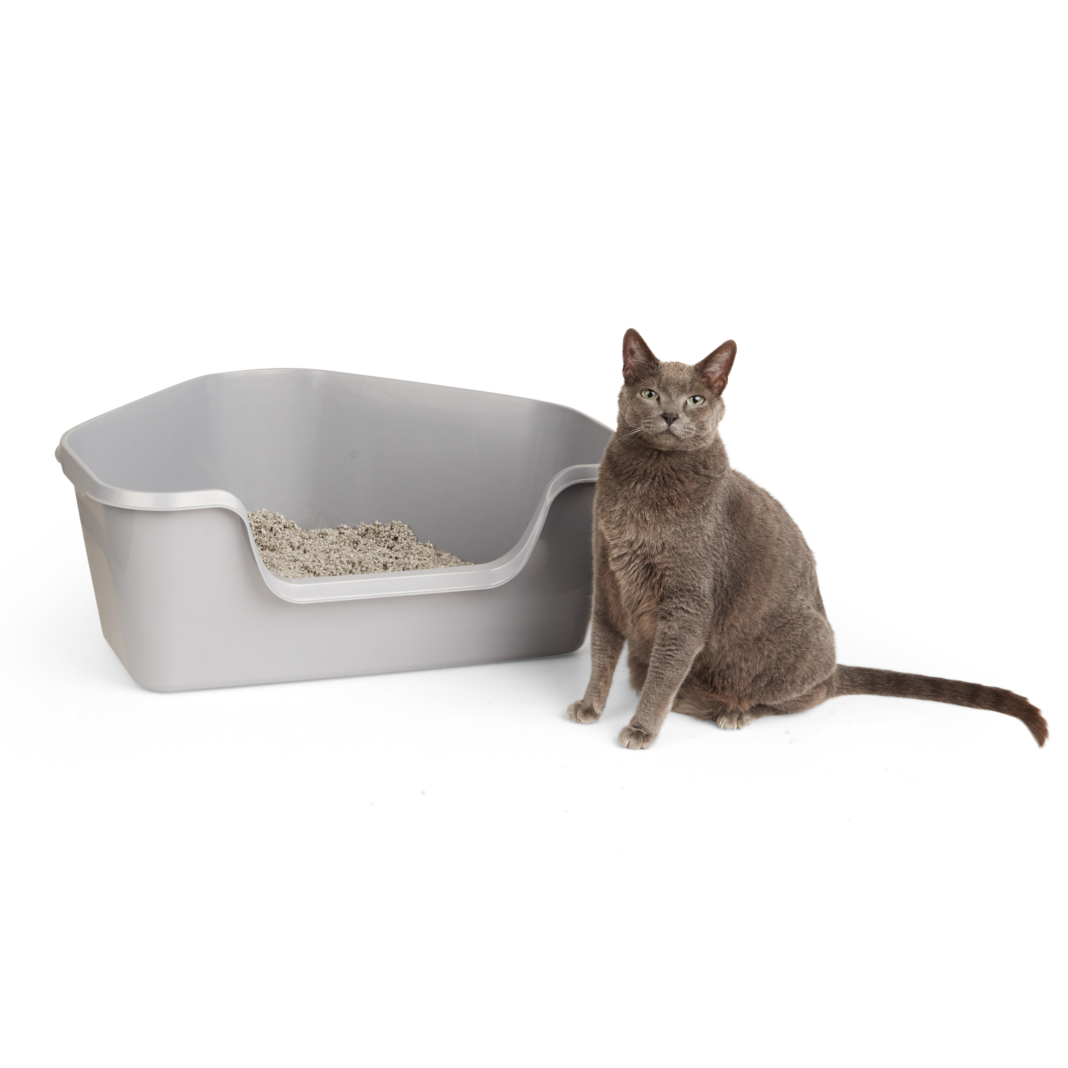 Petco corner 2025 litter box