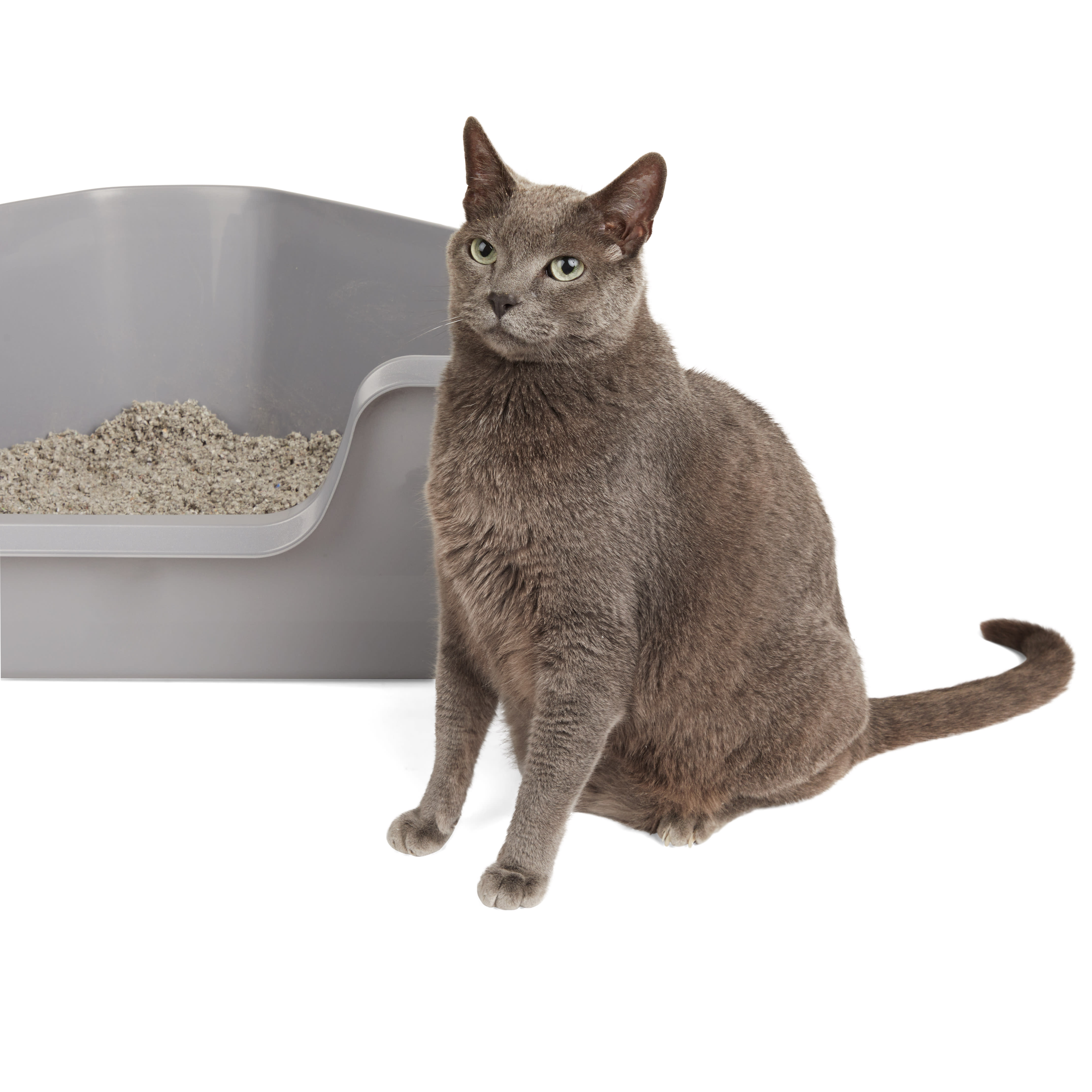 Petco corner litter box best sale