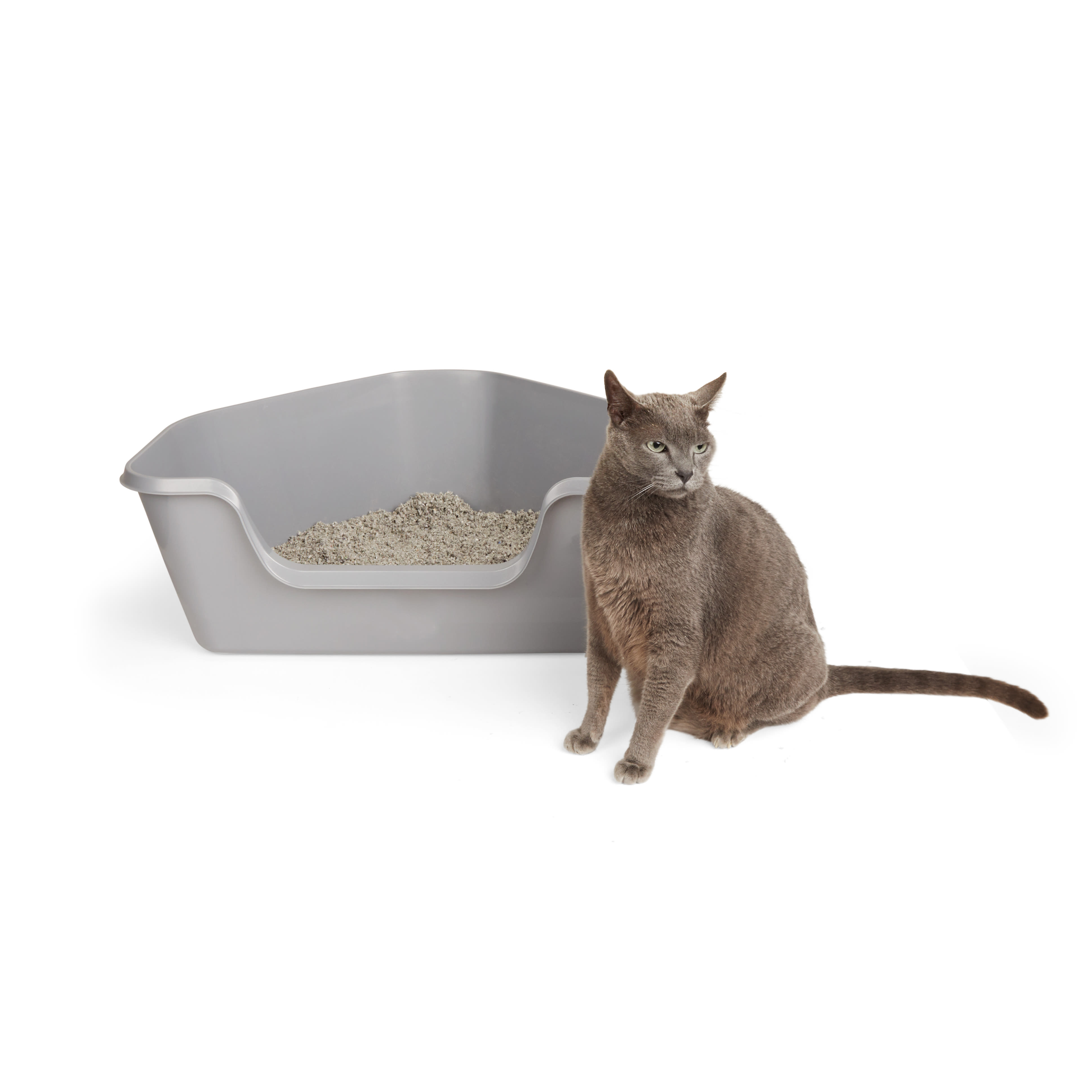 So Phresh Scatter Shield High-Back Litter Box in Gray, 24 L x 18 W x 10 H