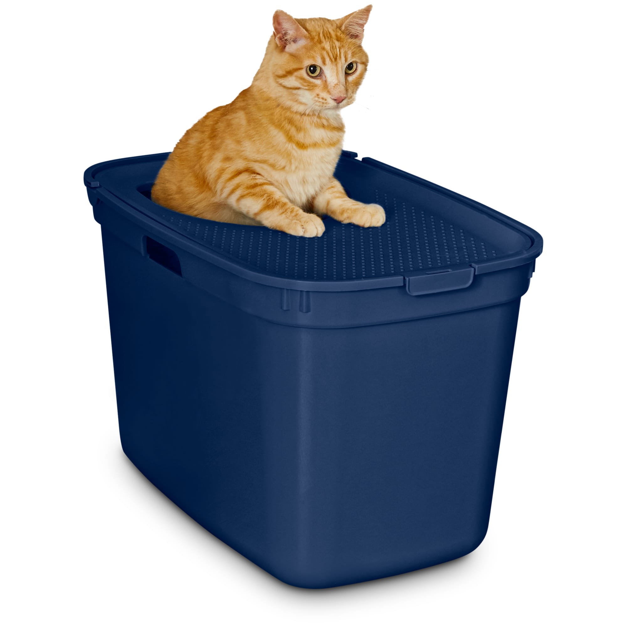 Whisker city top outlet entry litter box