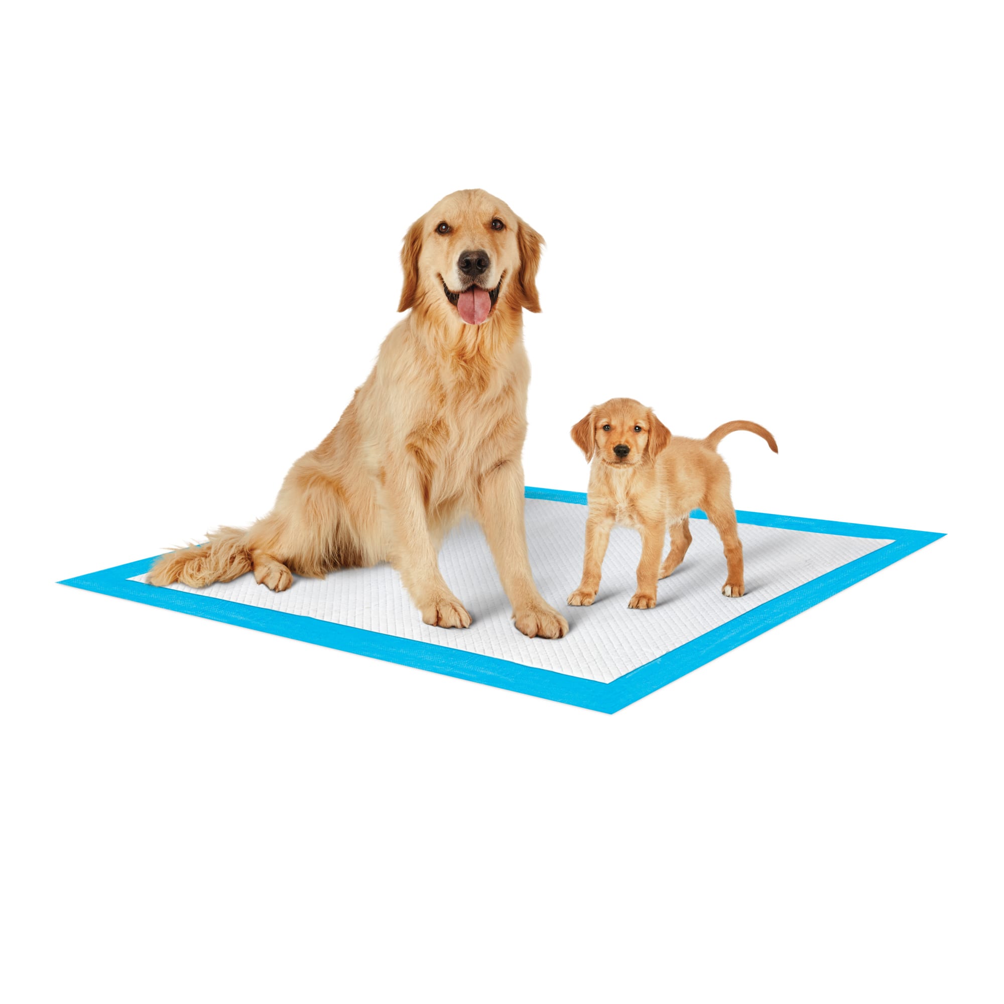 dog pads