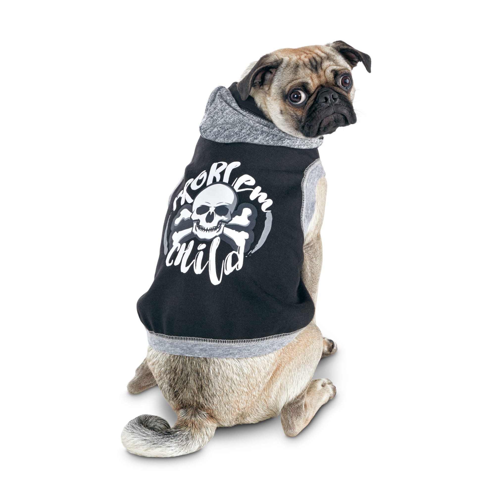 bond & co dog apparel