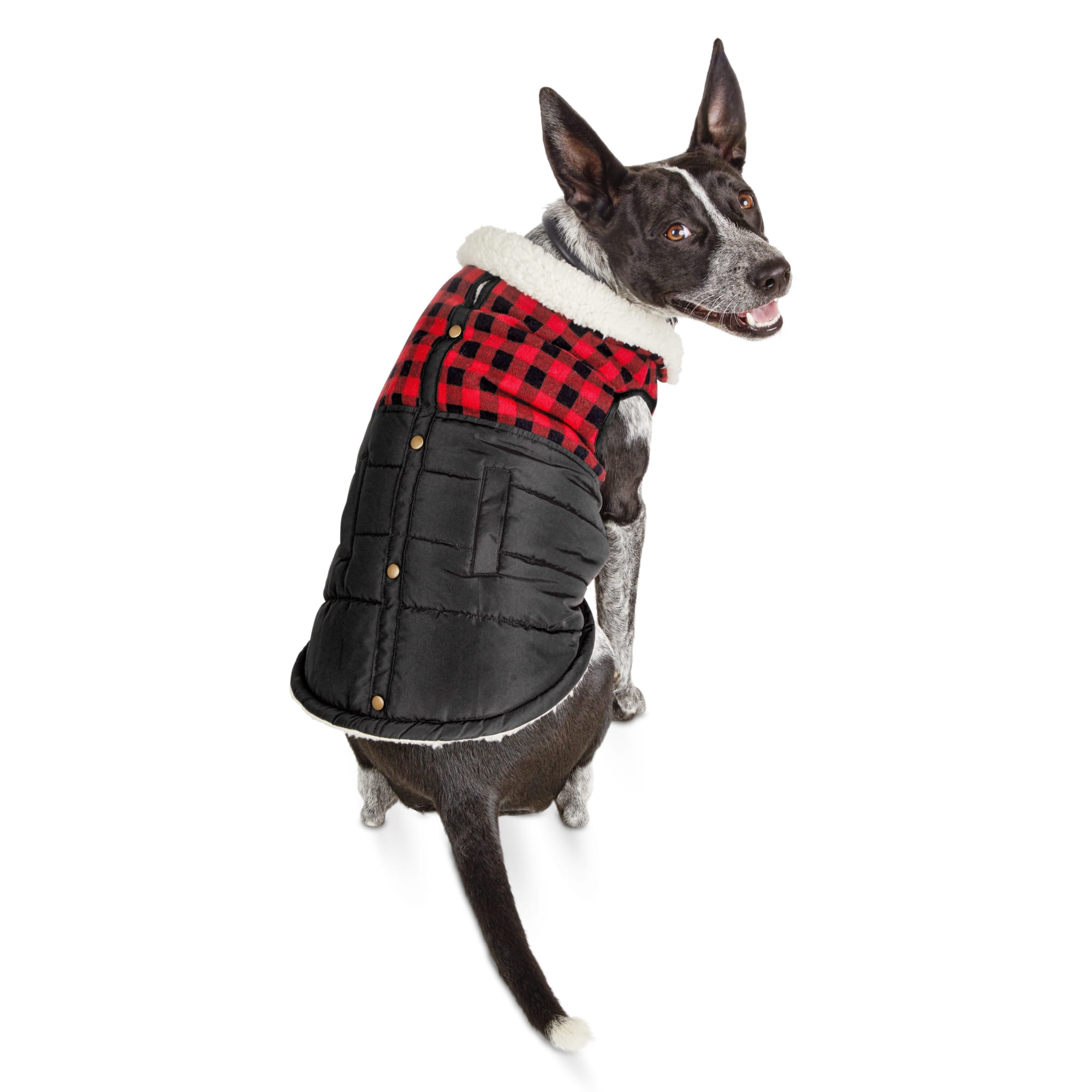 flannel dog sweater