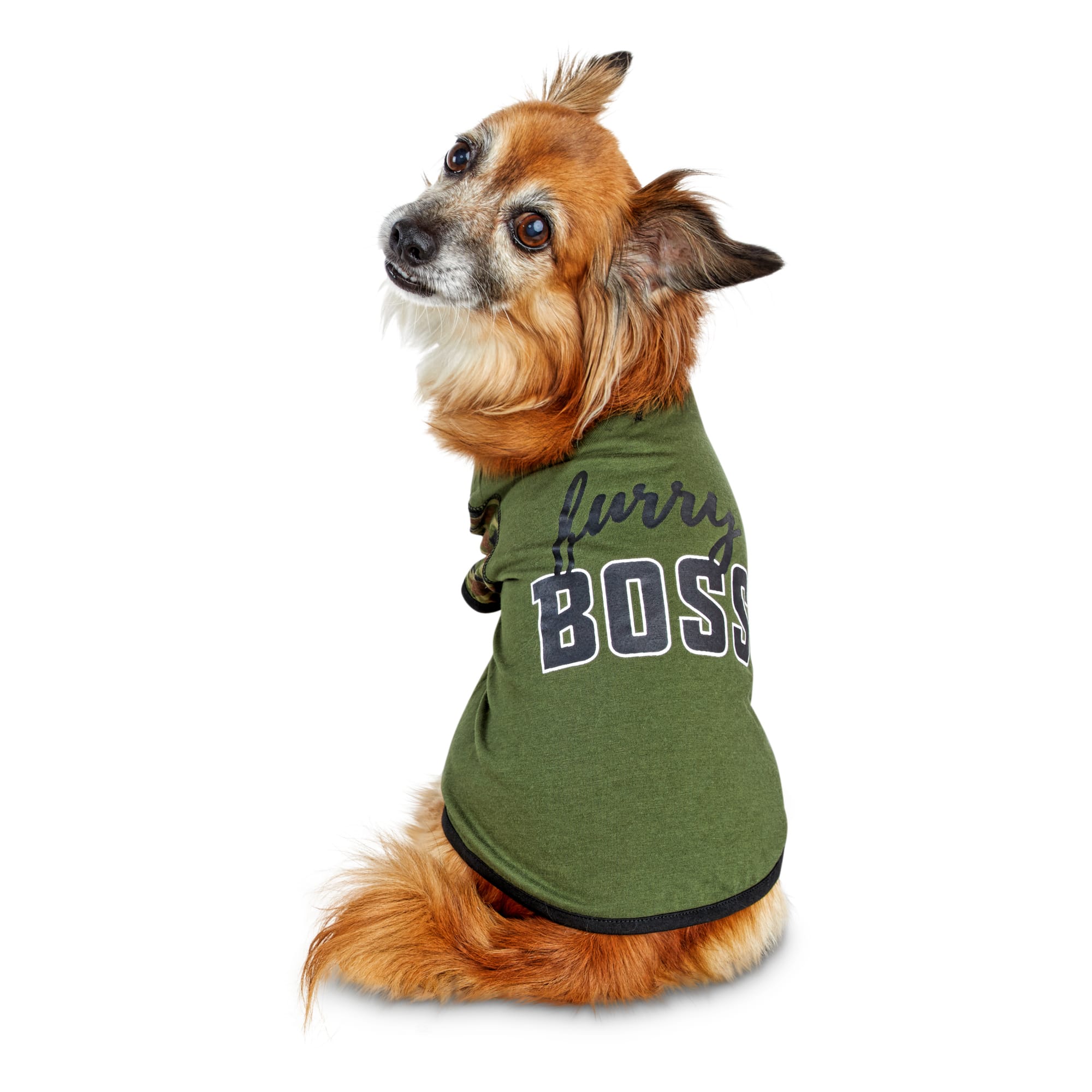 petco dog jacket