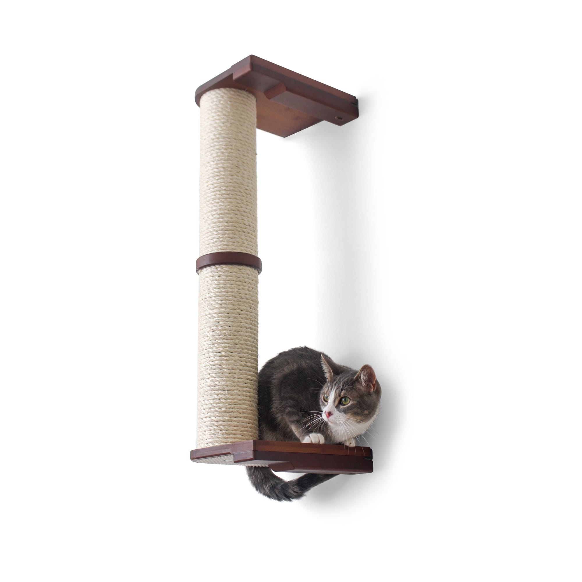 cat pole toy