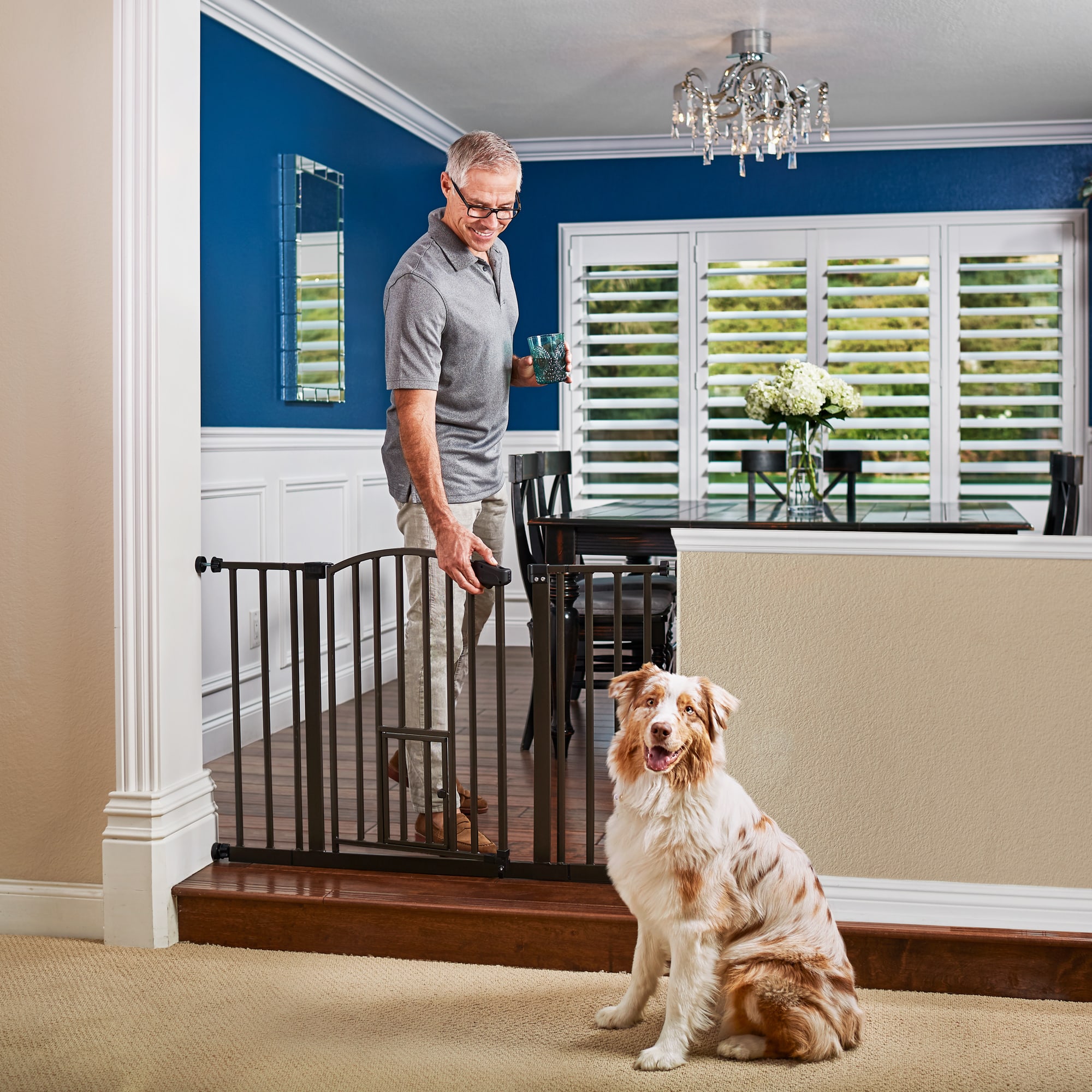 dog gate with walk through door