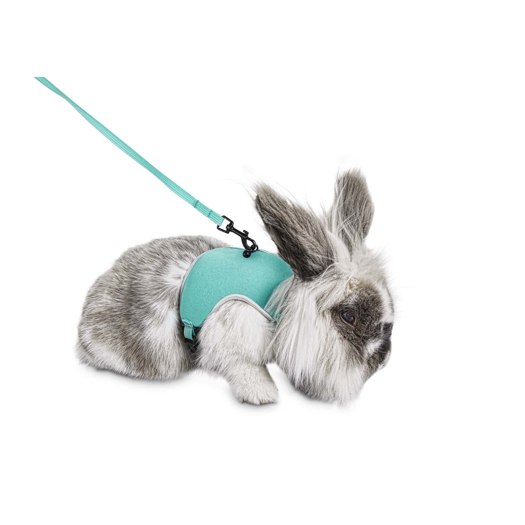 Super Pet Ferret/Rabbit/Guine Pig Comfort Harness and Stretchy Leash Lrg 