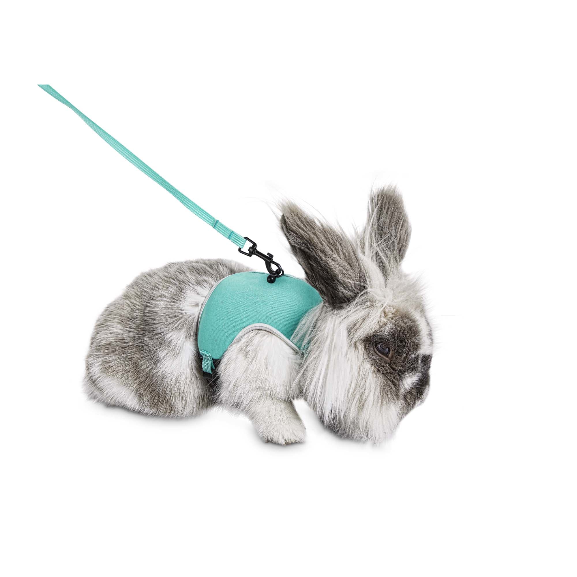 Pets at home rabbit hot sale harness