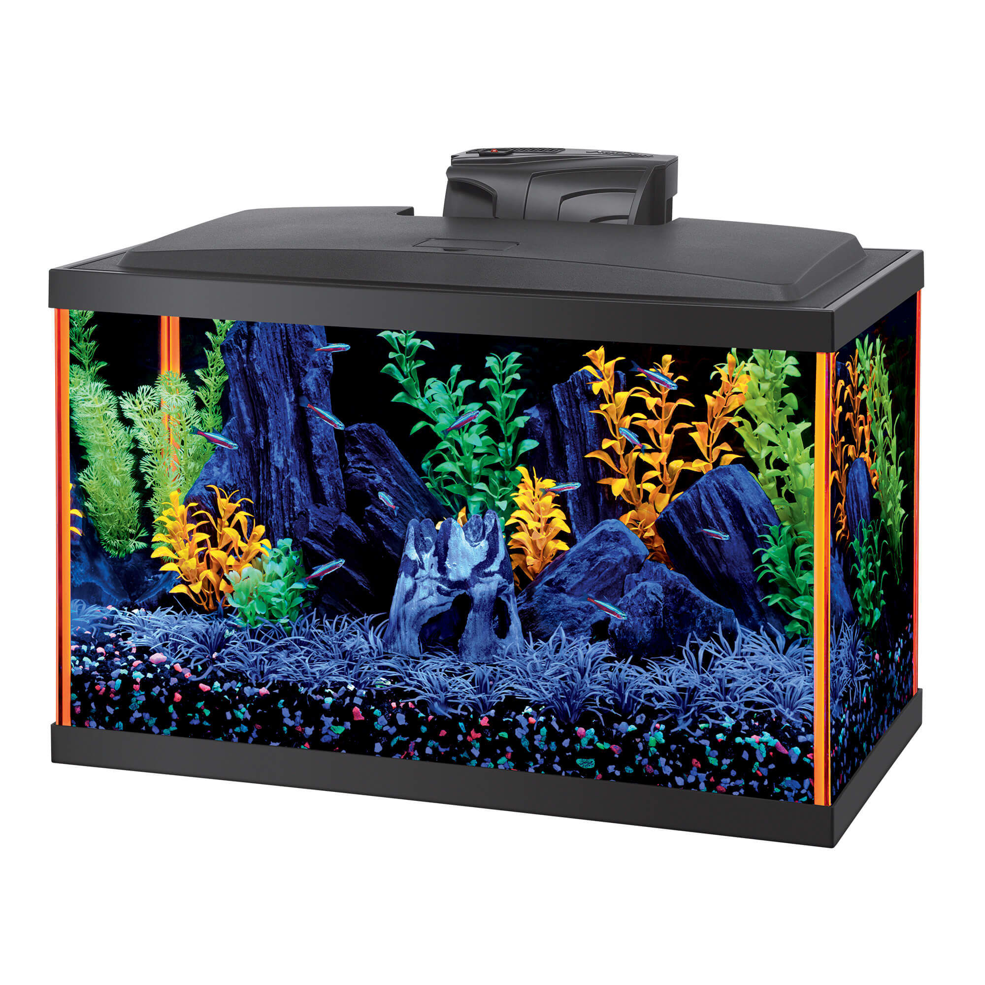 petco 10 gallon tank