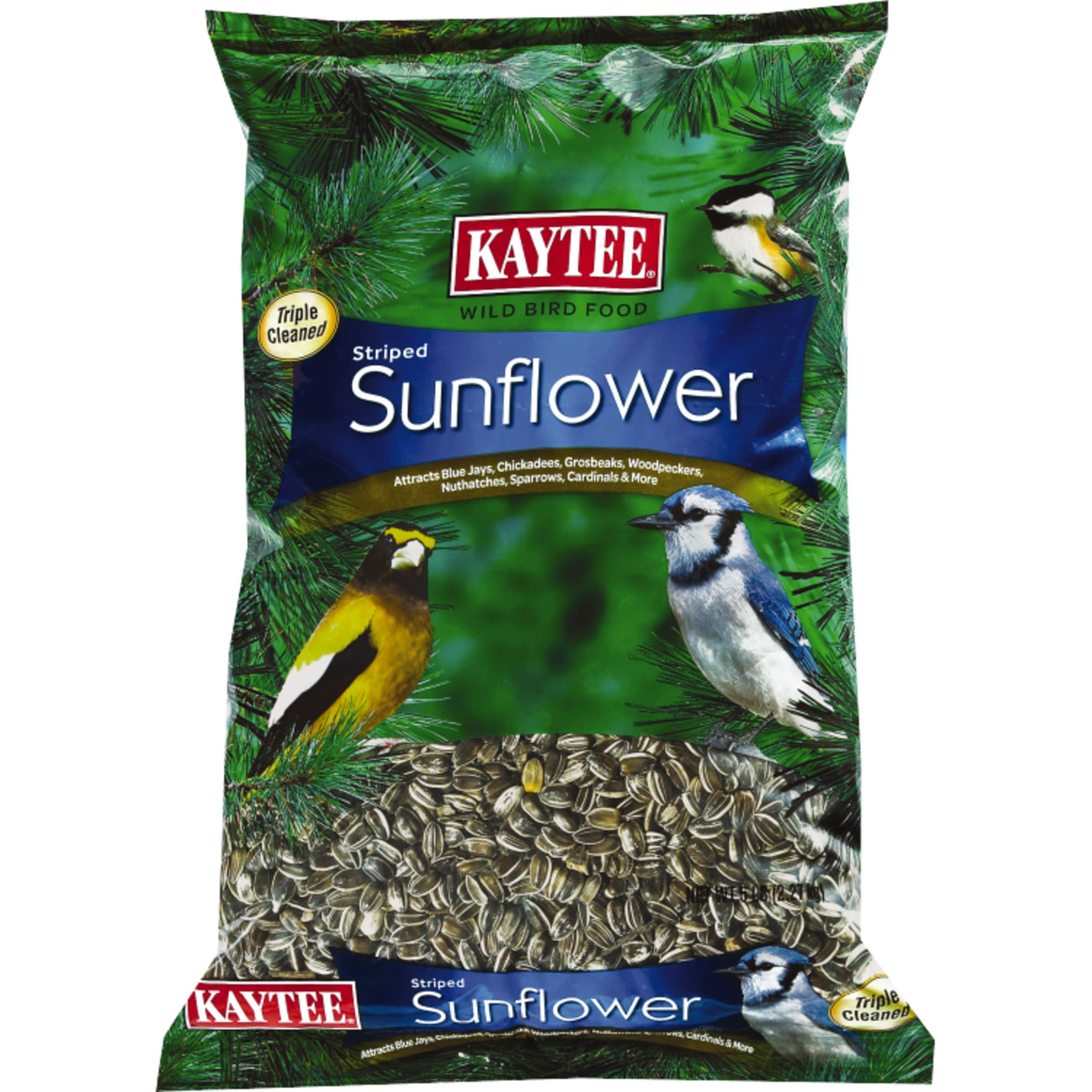 Petco bird shop seed