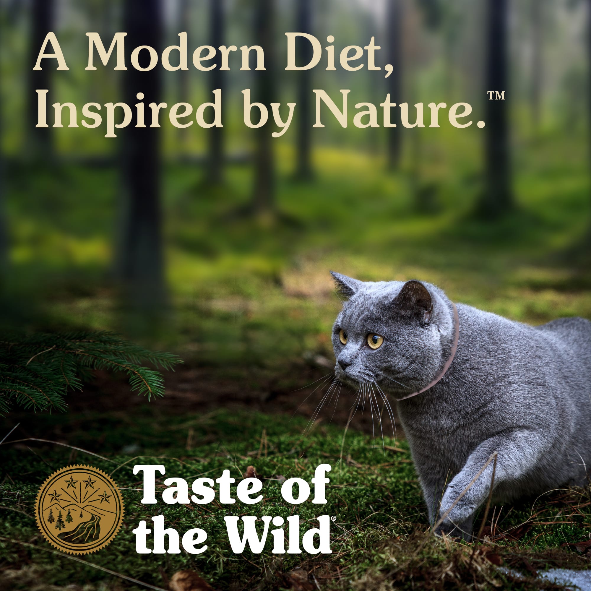 Taste of the shop wild cat food petco