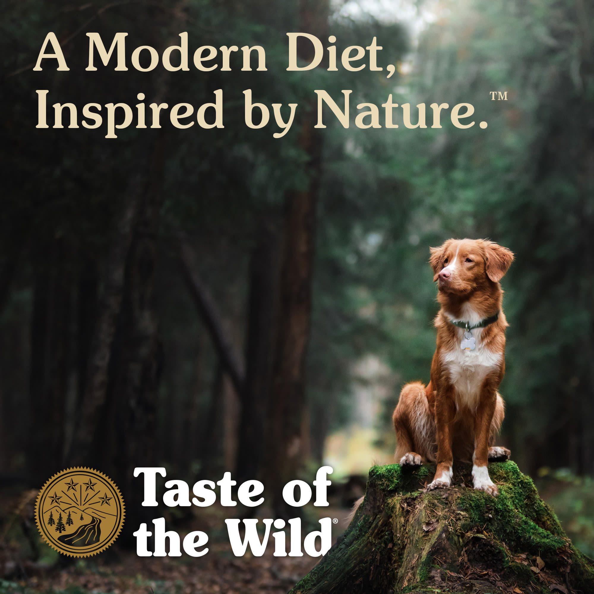 Taste of the Wild Pacific Stream Grain Free with Smoke Flavored Salmon Dry Puppy Food 28 lbs. Petco