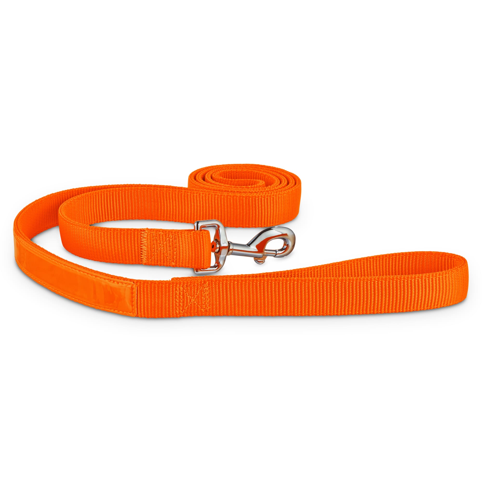 orange dog collar and leash