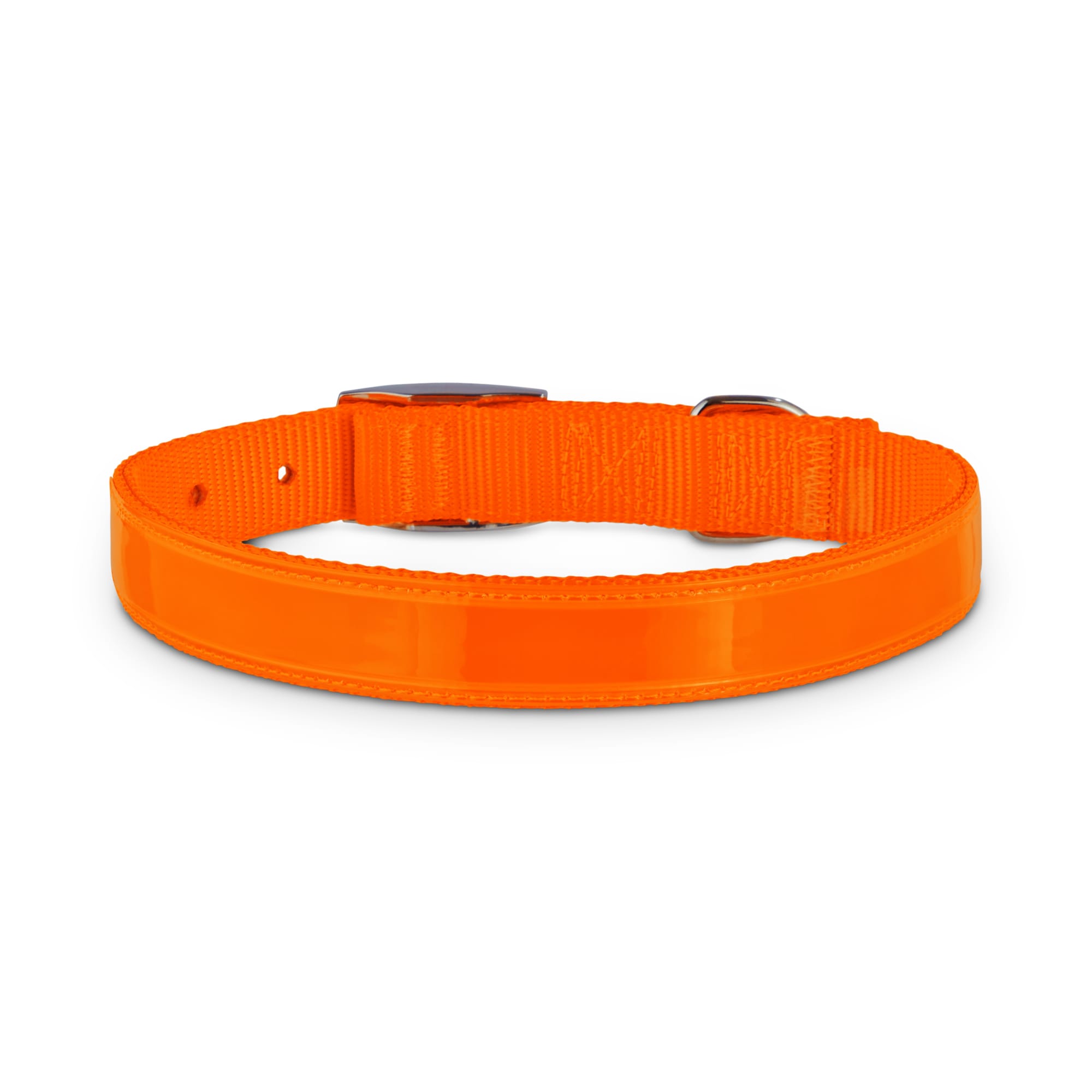 Good2Go Bright Orange Reflective Dog Collars, Medium