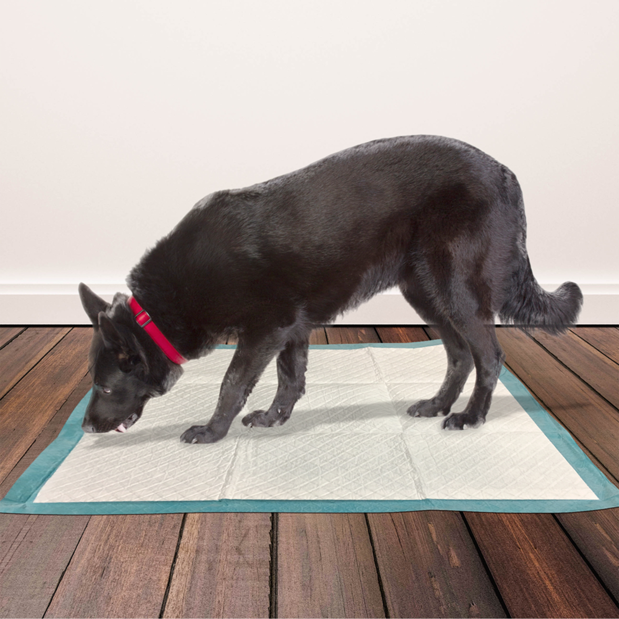 Simple solution all day dog outlet pads