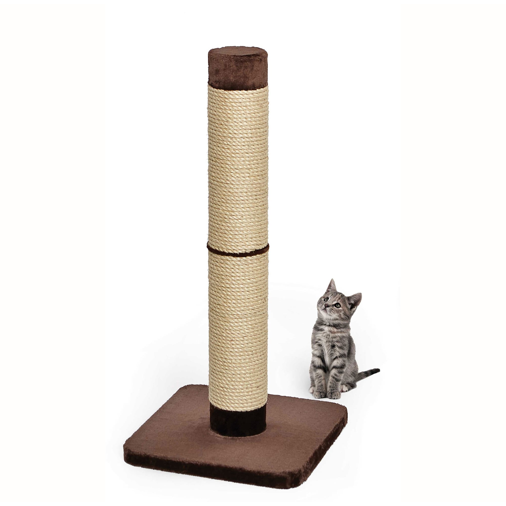 2x Pet Cat Scratch Guard Mat Cat Scratching Post sticker Sofa Home protector New 