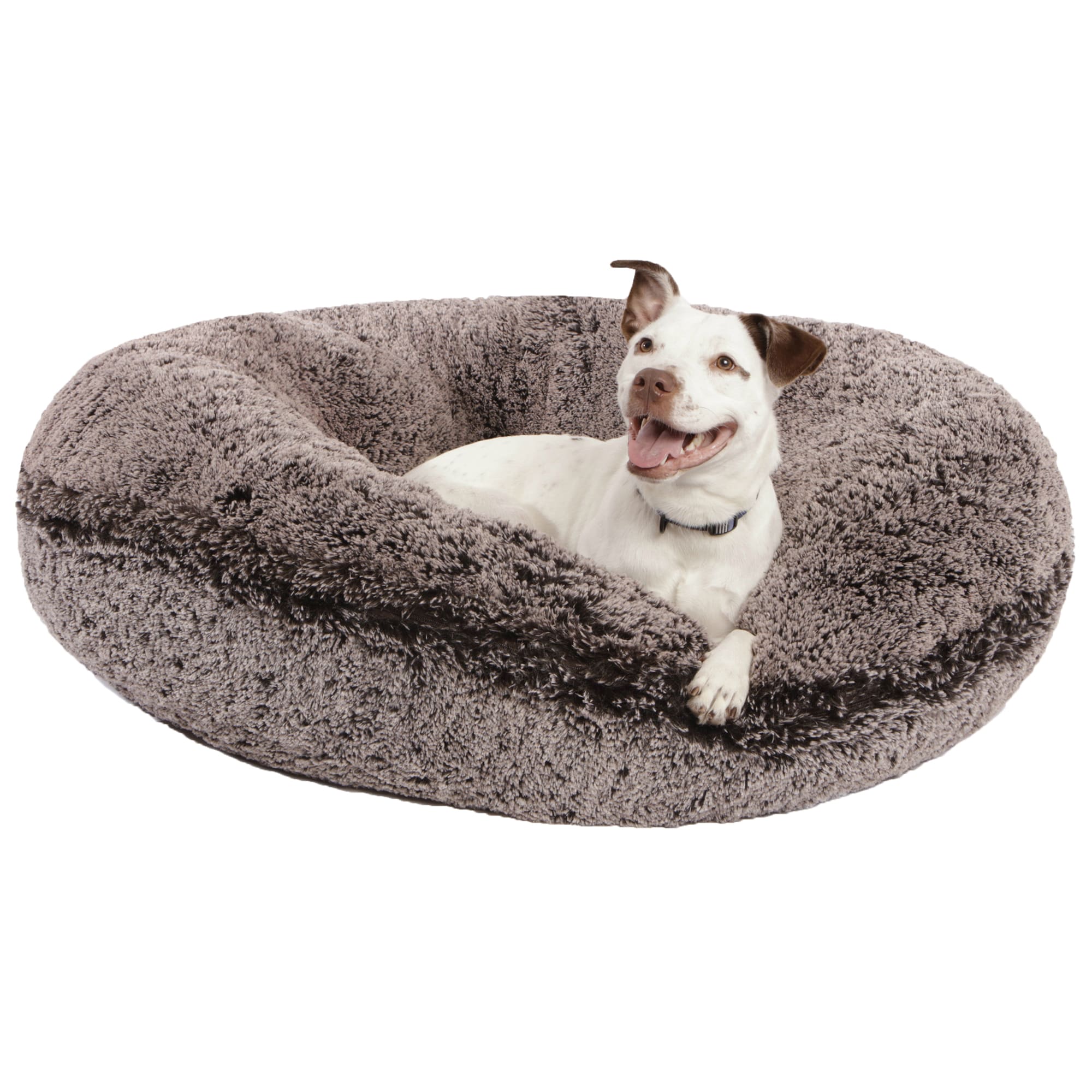 x large dog beds cheap
