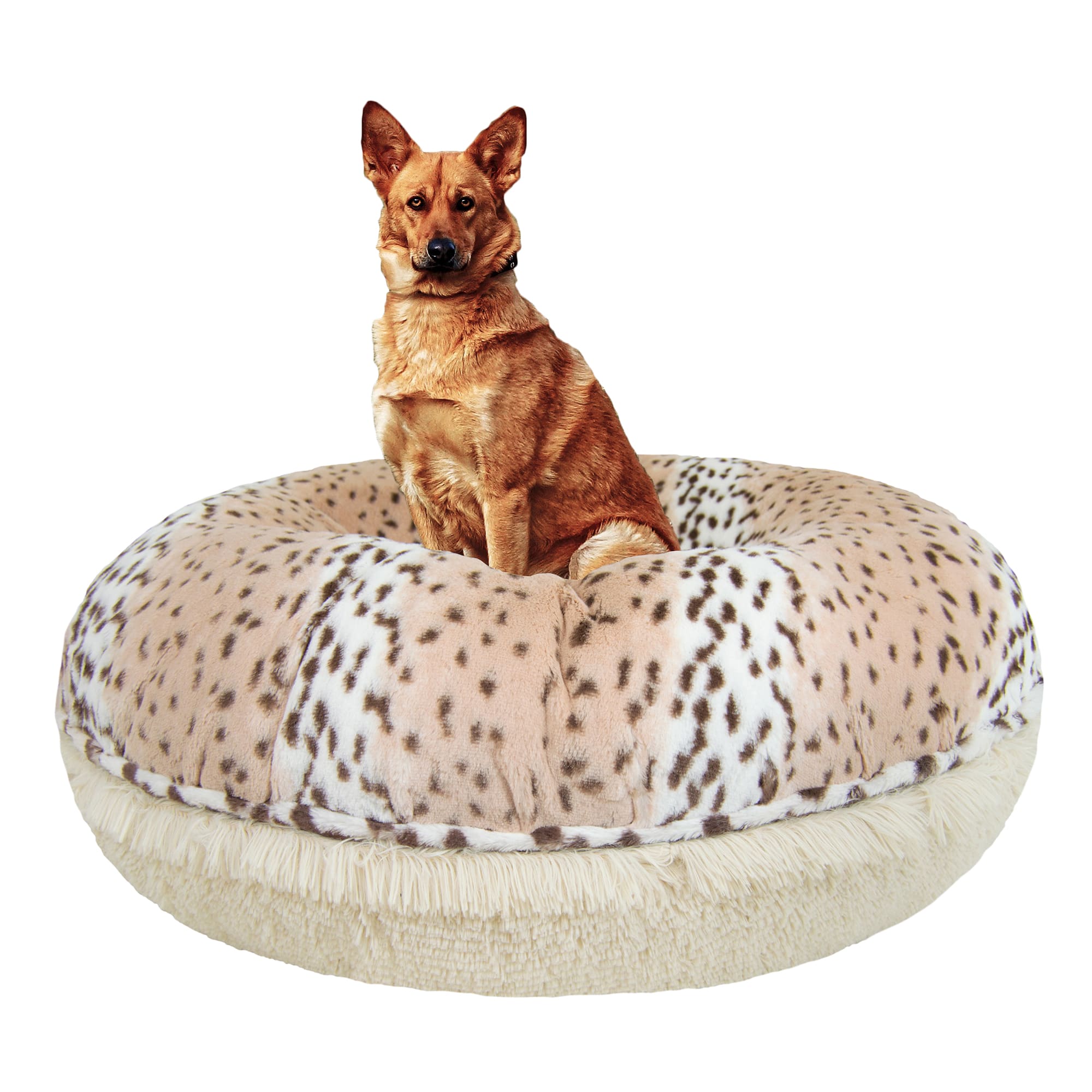 leopard dog bed