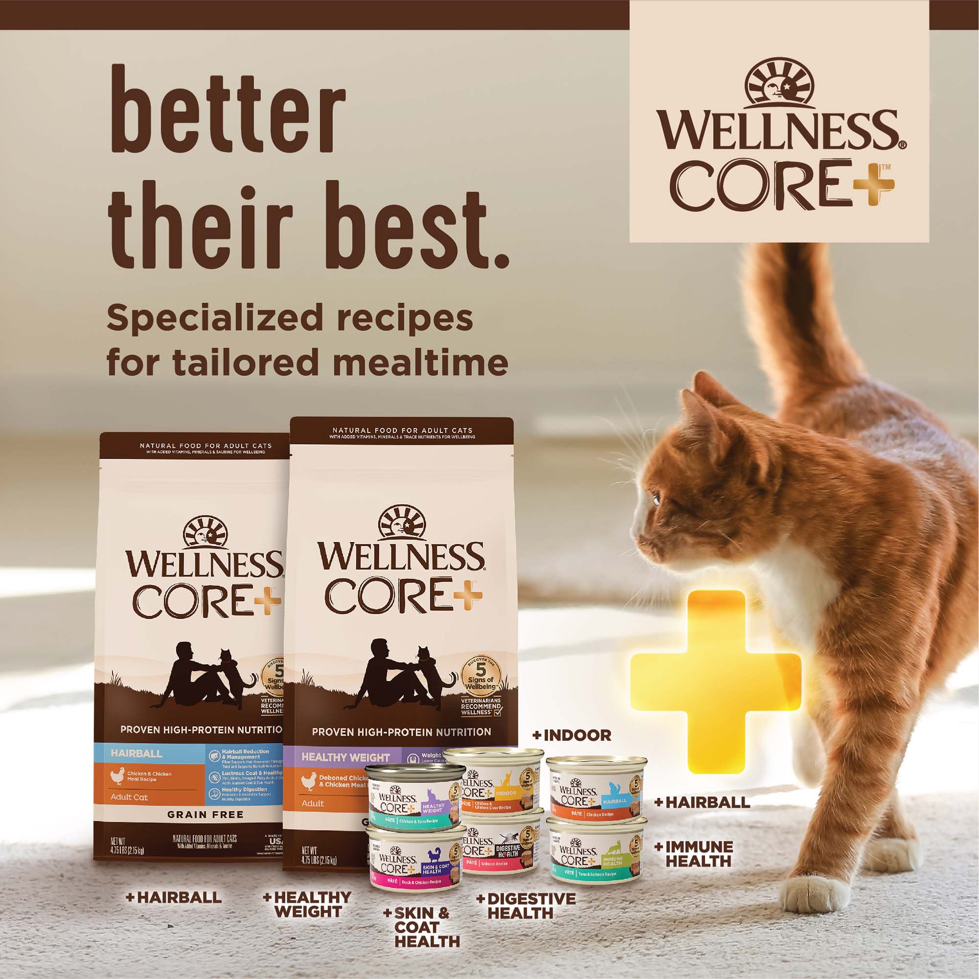 Wellness CORE Natural Grain Free Indoor Salmon Herring Meal Recipe Dry Cat Food 11 lbs. Petco