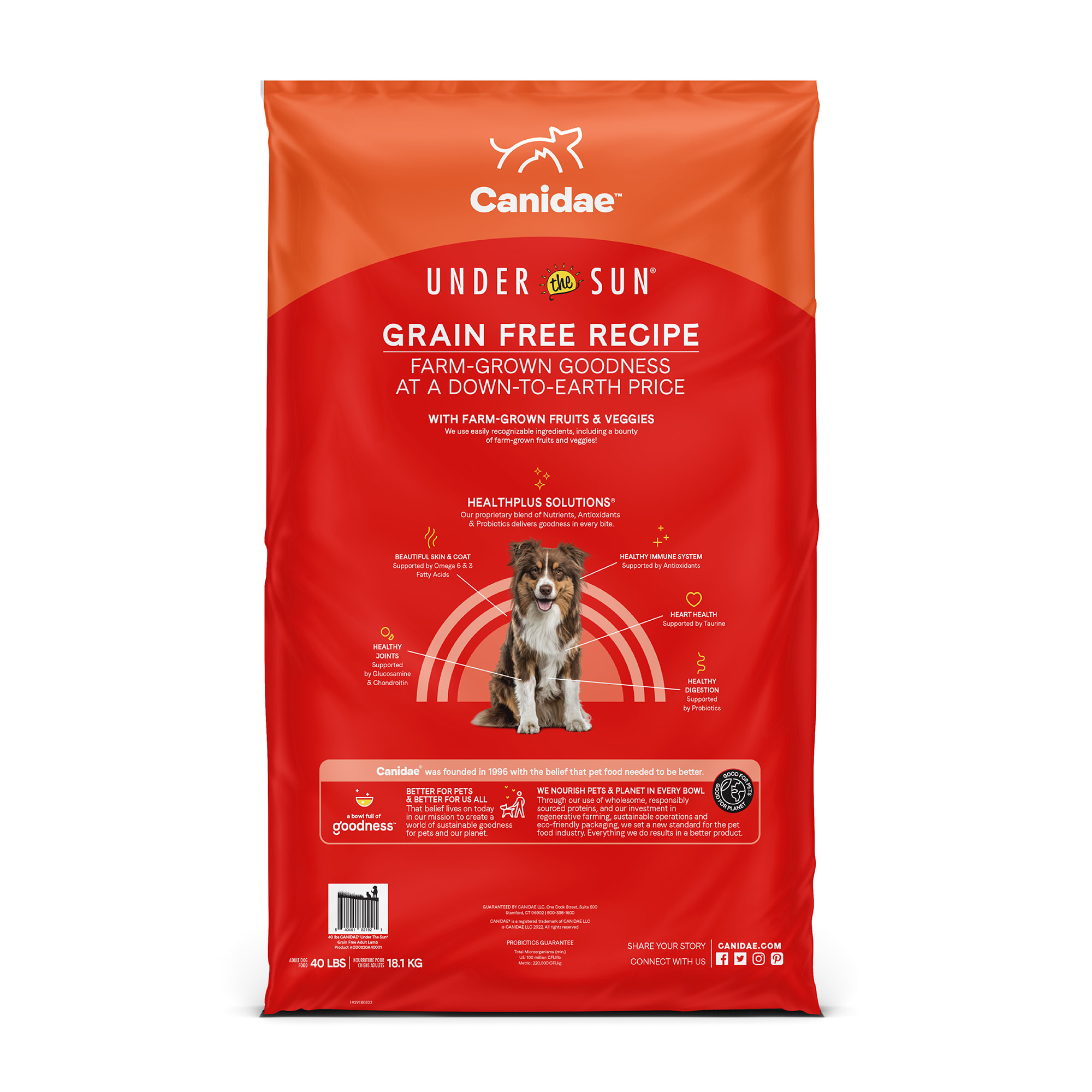 Under the sun hot sale lamb dog food