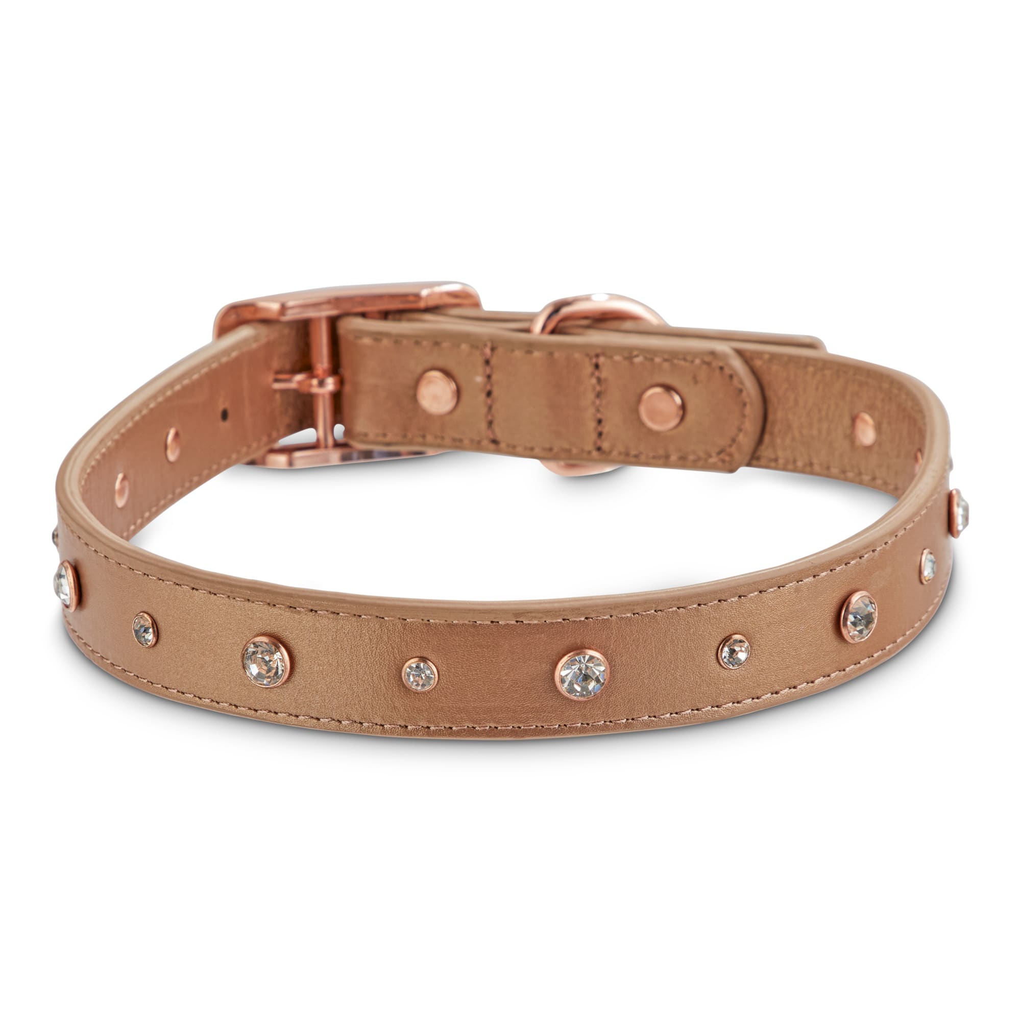 petco leather dog collar