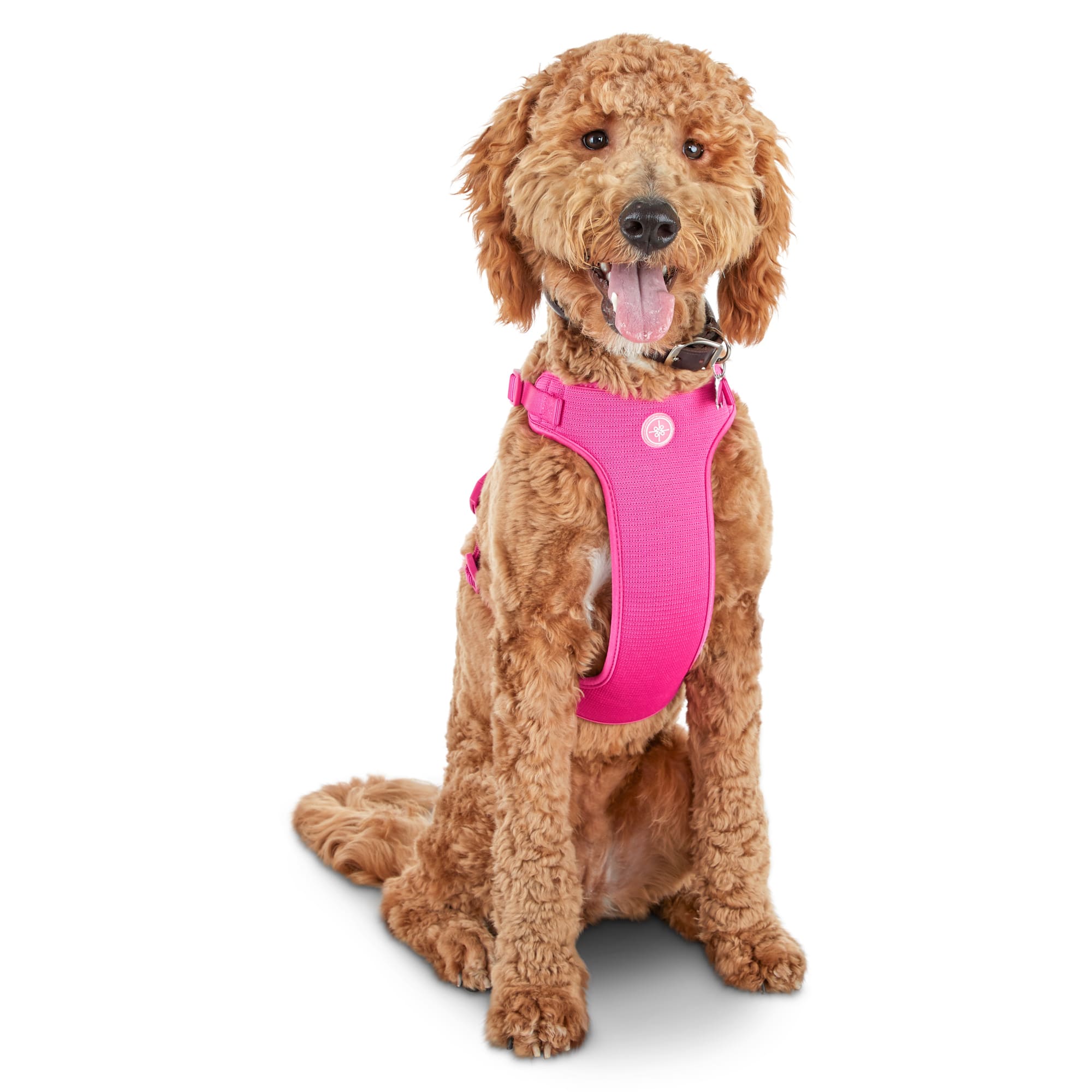 Pink dog outlet harness large