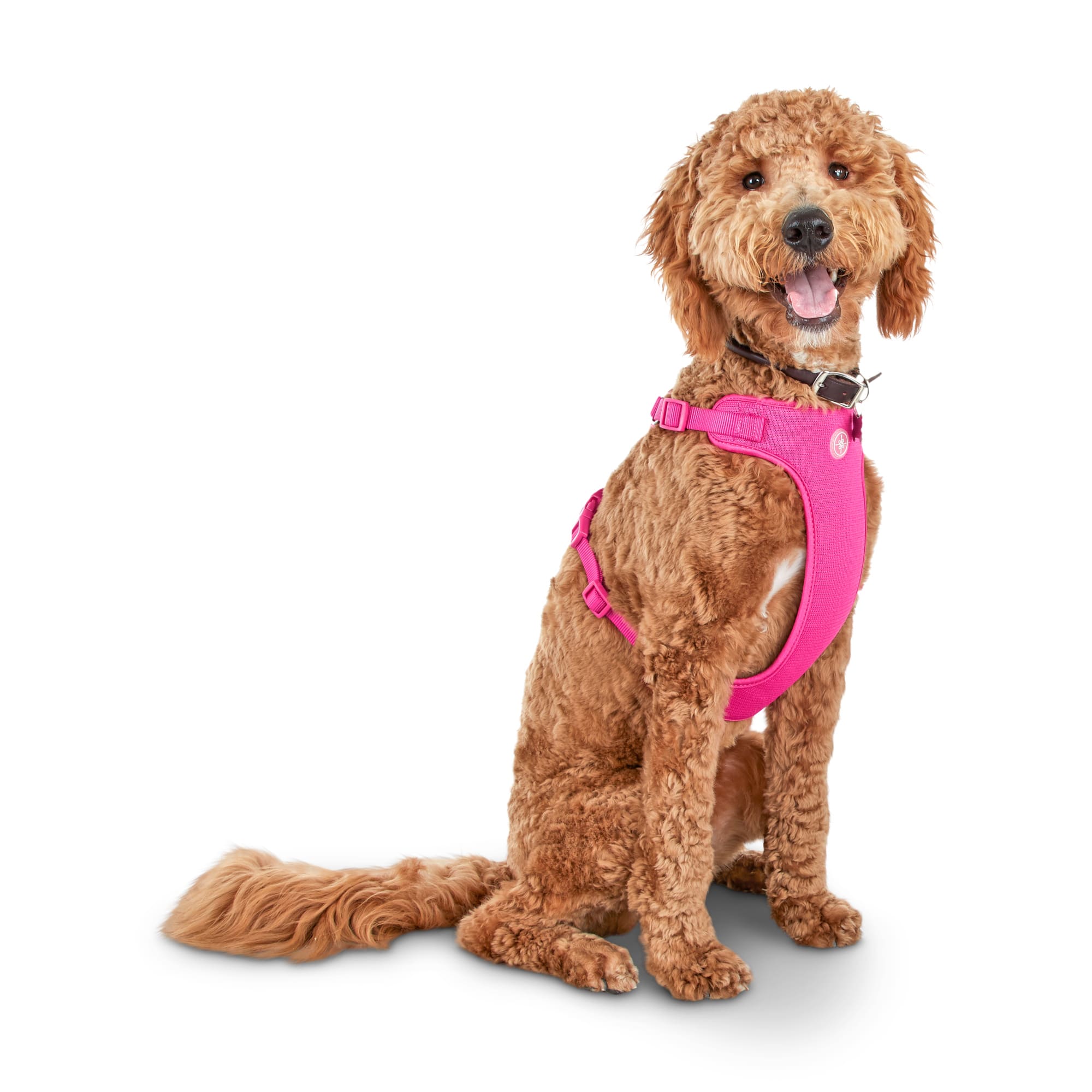 Jeep Dog Toy – Peony Layne