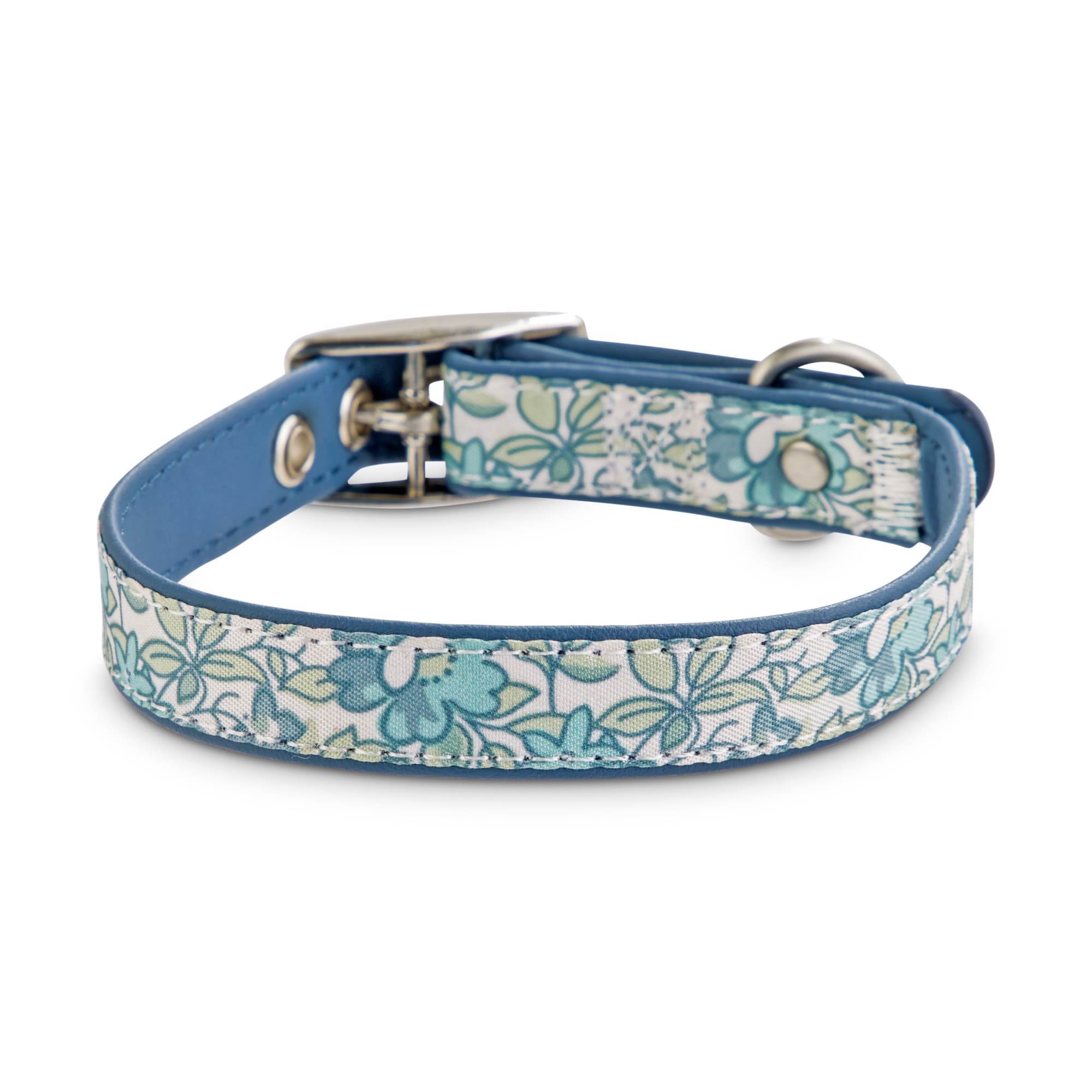 light blue puppy collar