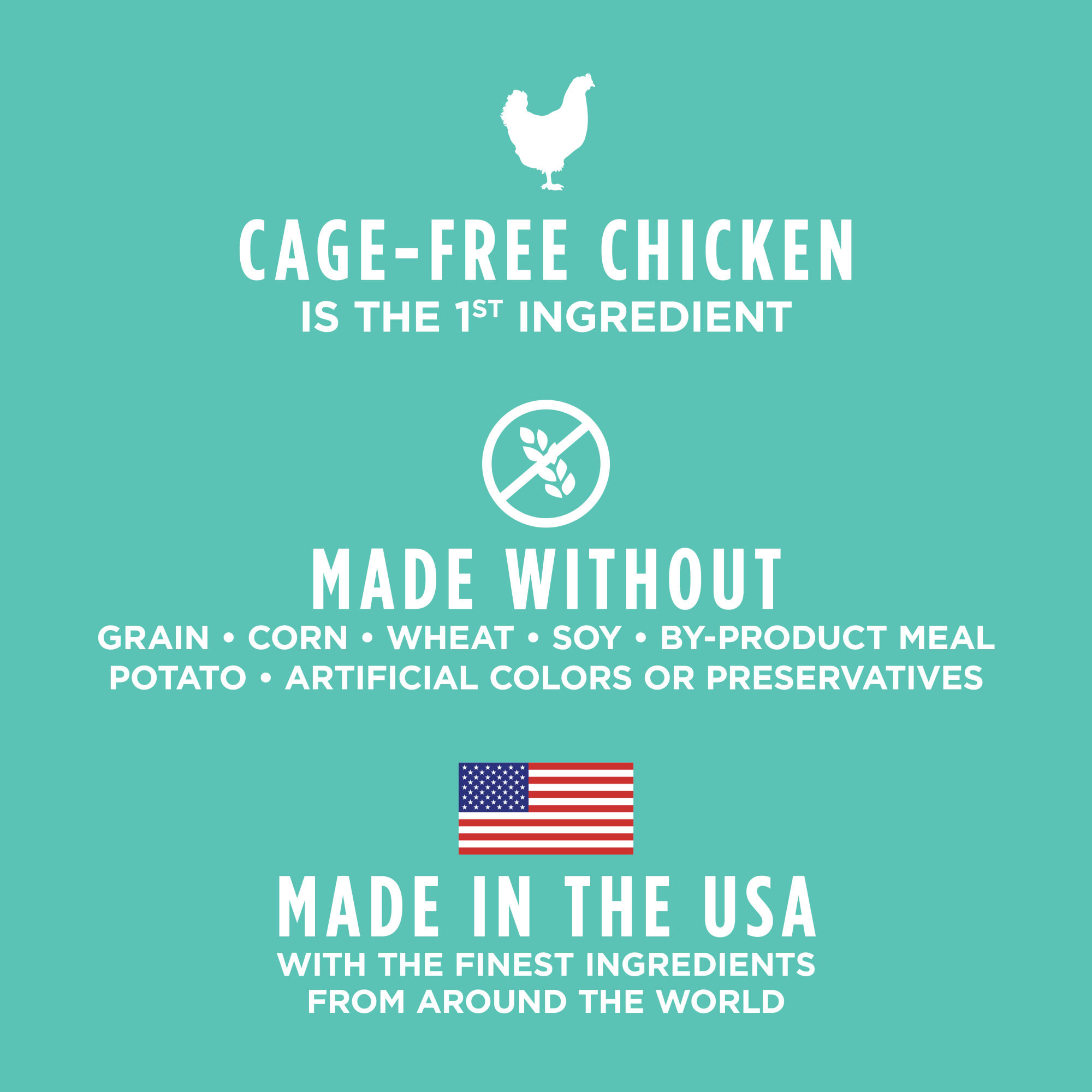 instinct raw dog food puppy