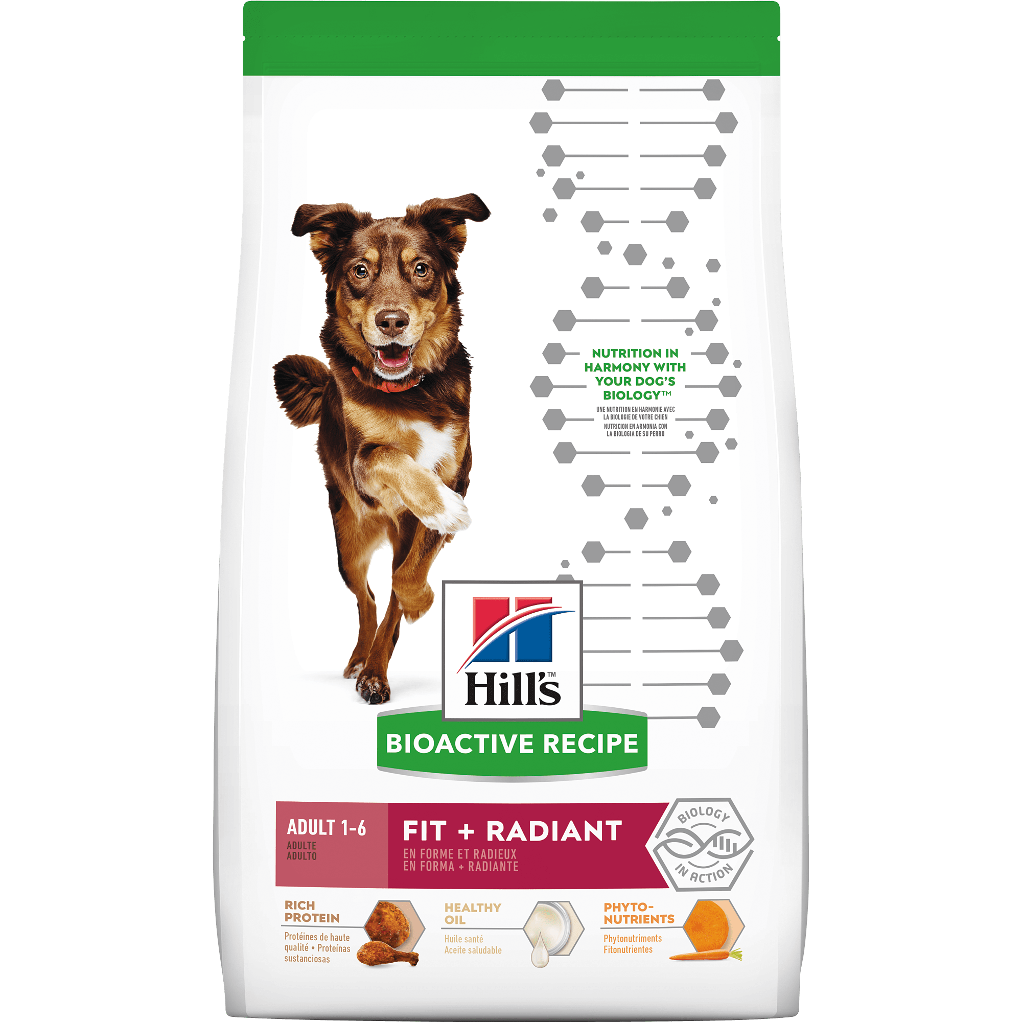 scientific hills dog food