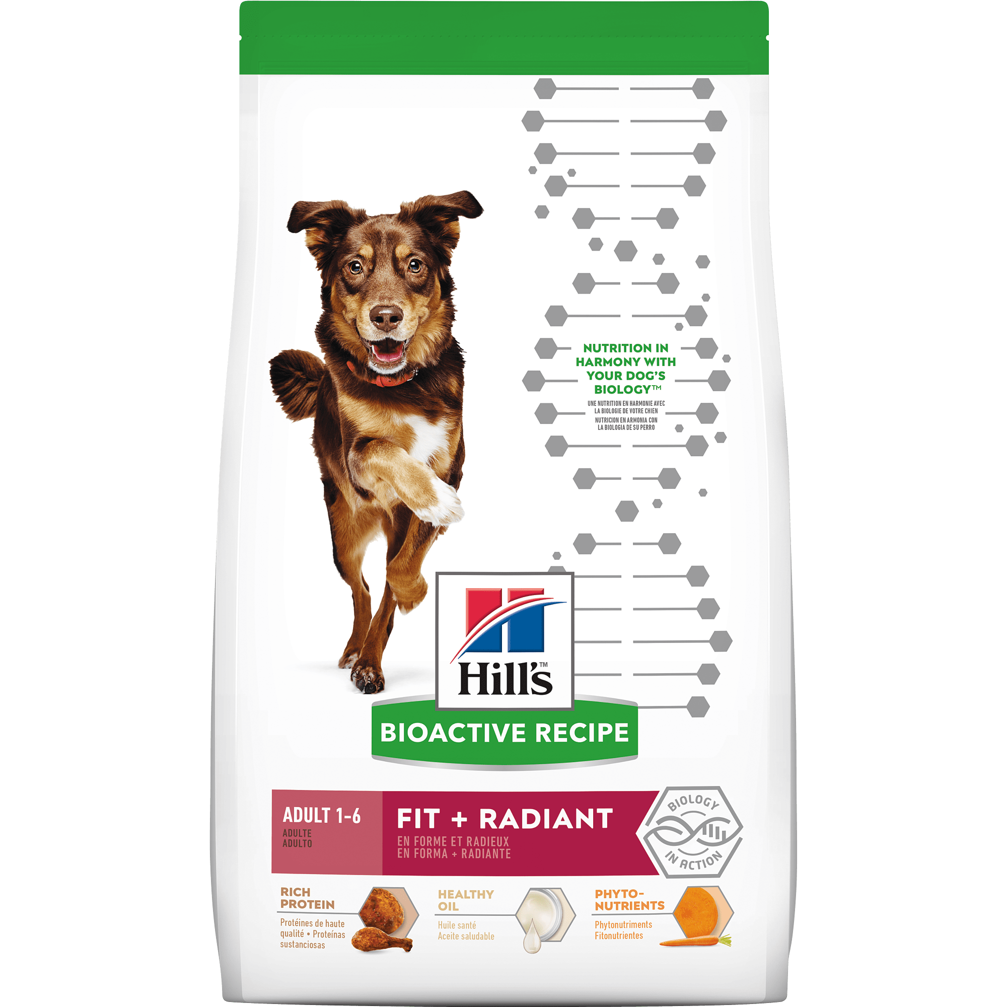 single whole grain dog food