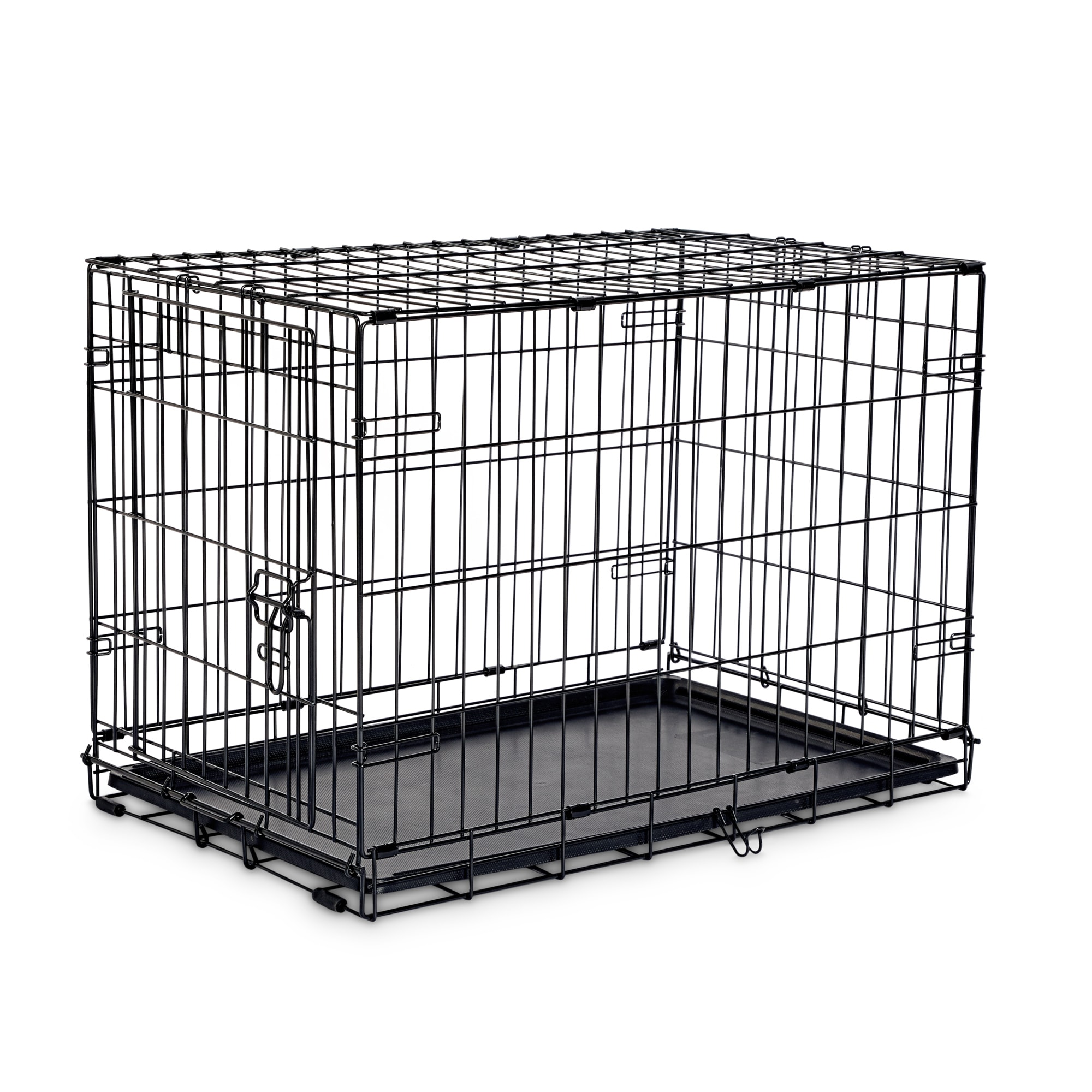 Animaze 2025 dog pen